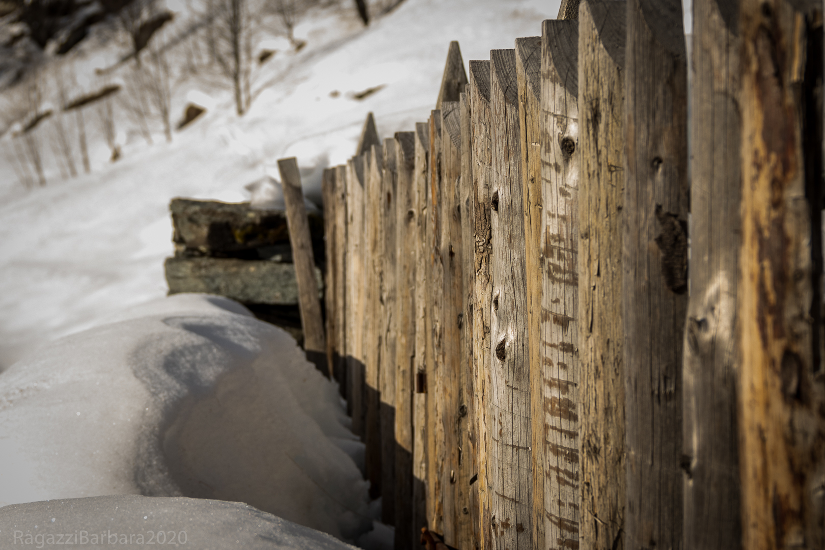 Otro: in the Kingdom of the Walser