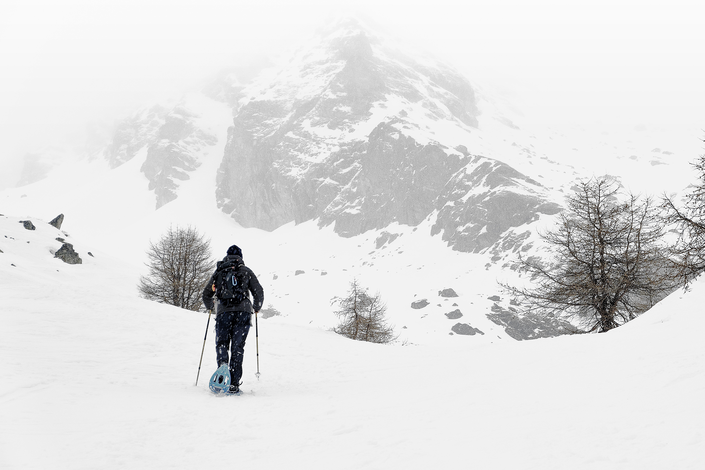 Continuare o ritornare?