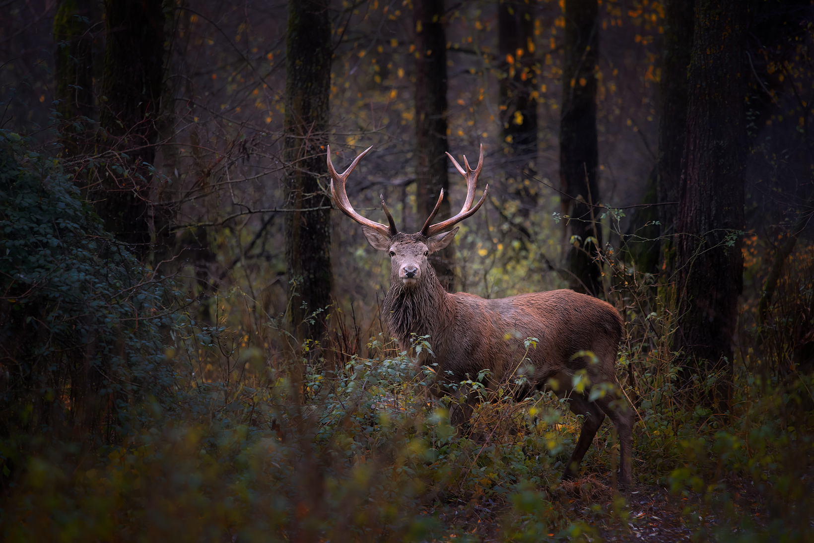 Incontri ravvicinati