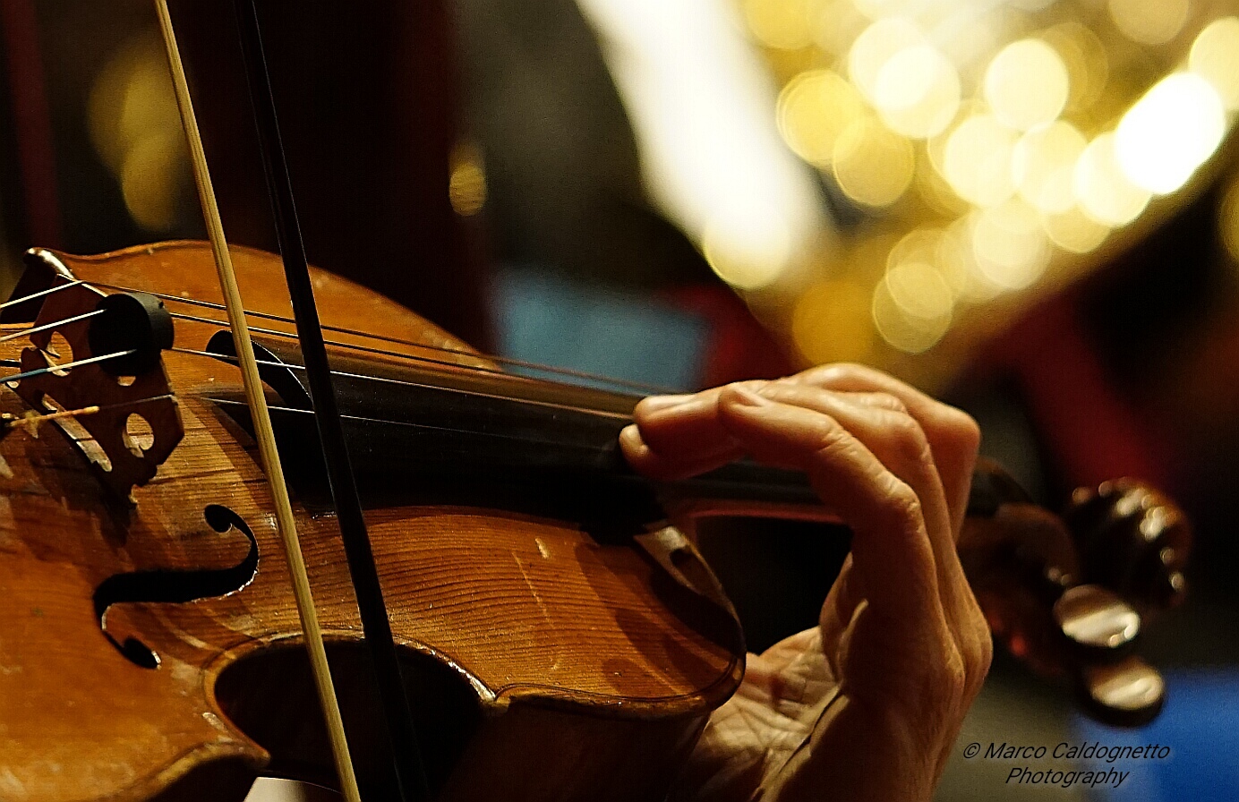 Orchestra delle Alpi