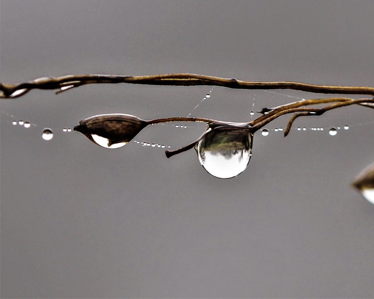 Drops