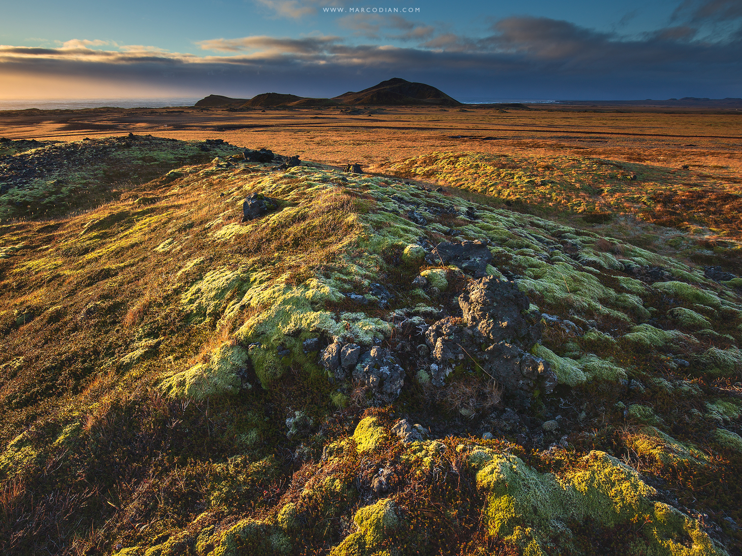 Nella luce della sera