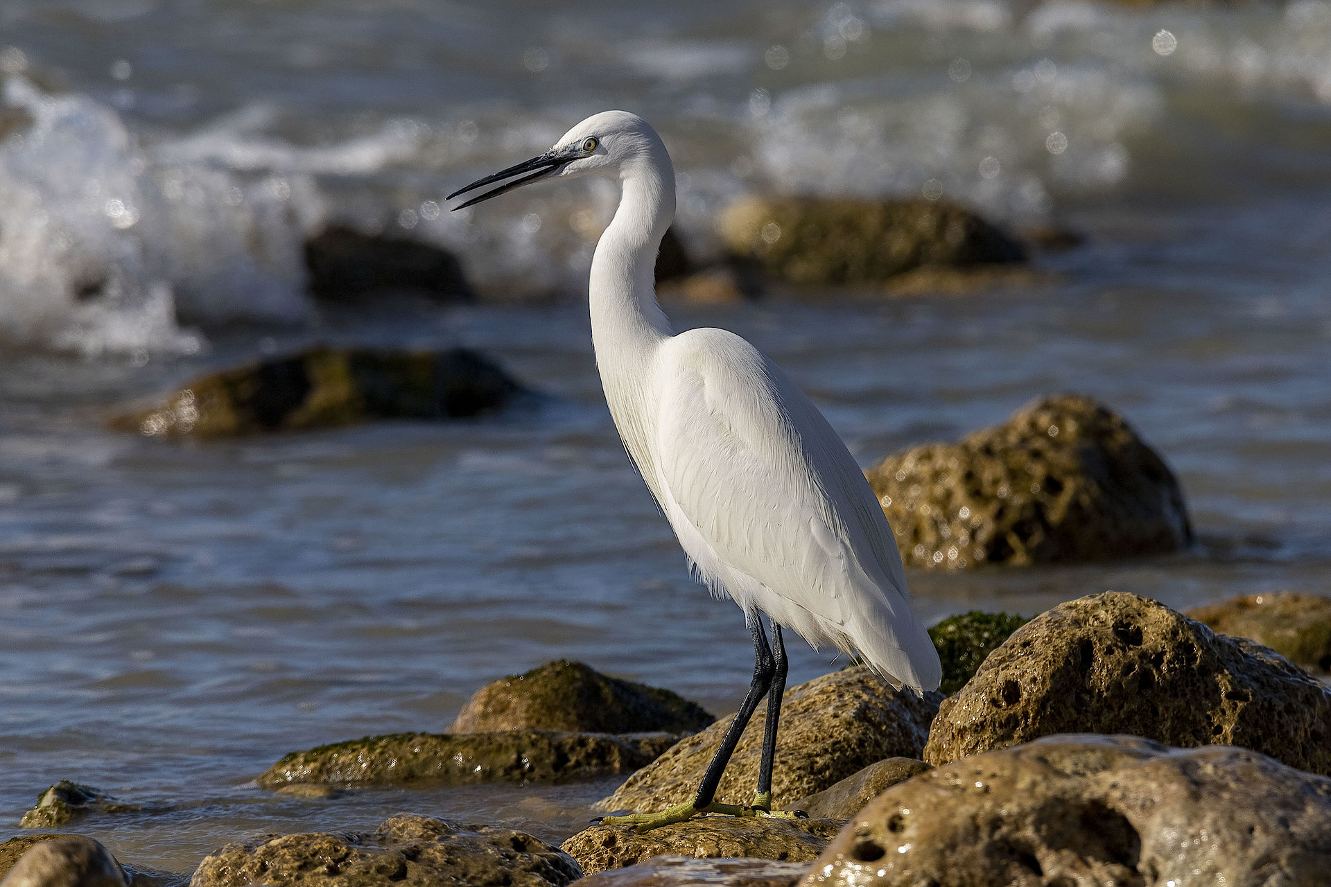 alla foce del fiume Palma