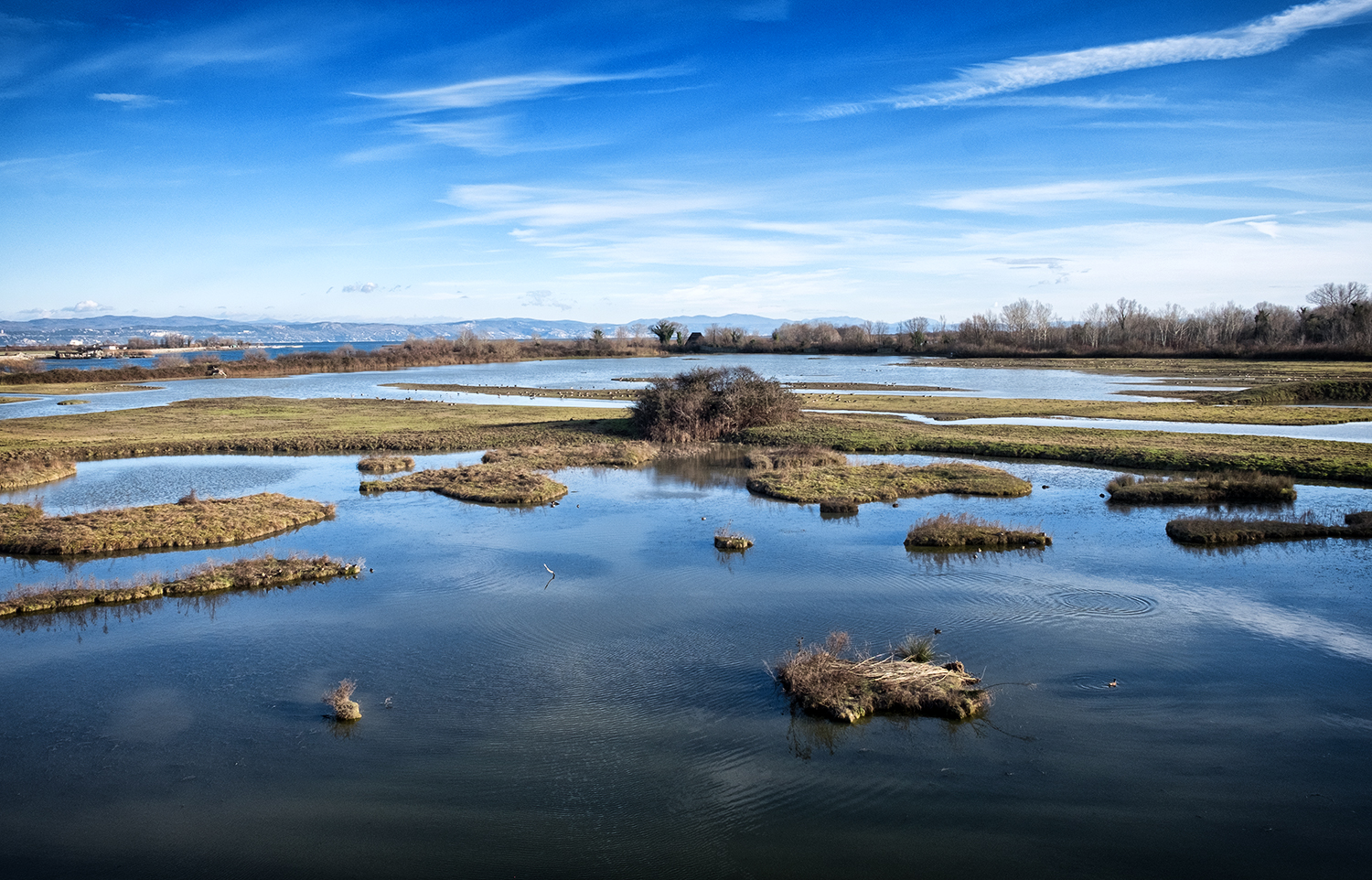 Laguna di Grado (go)