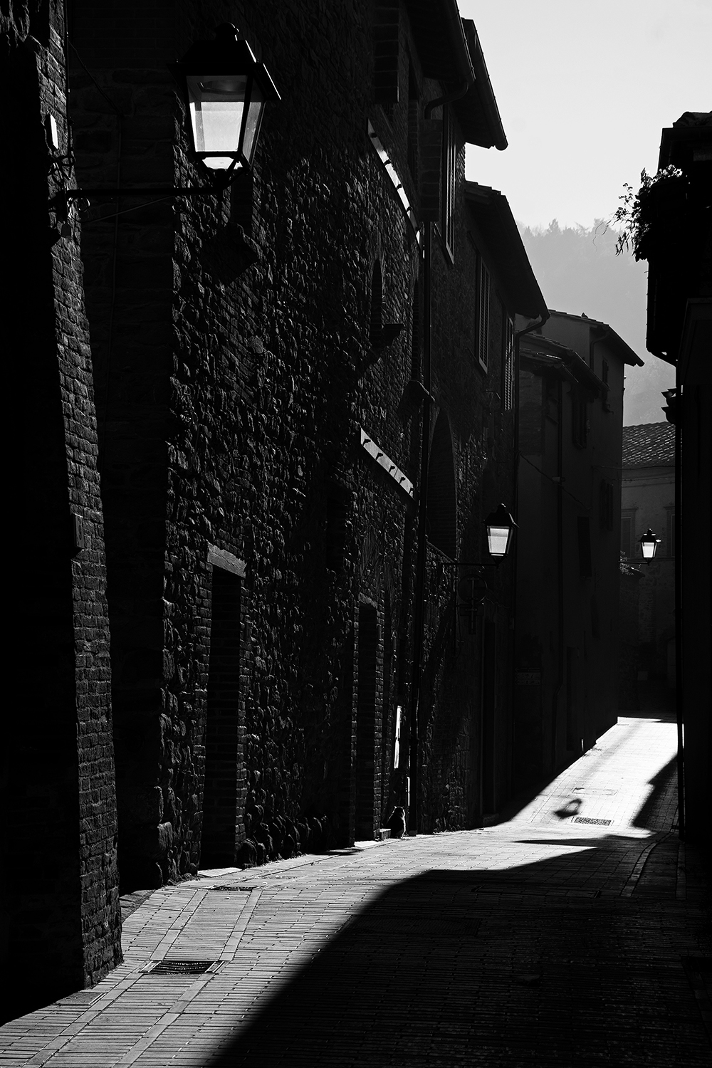 Lungo la via