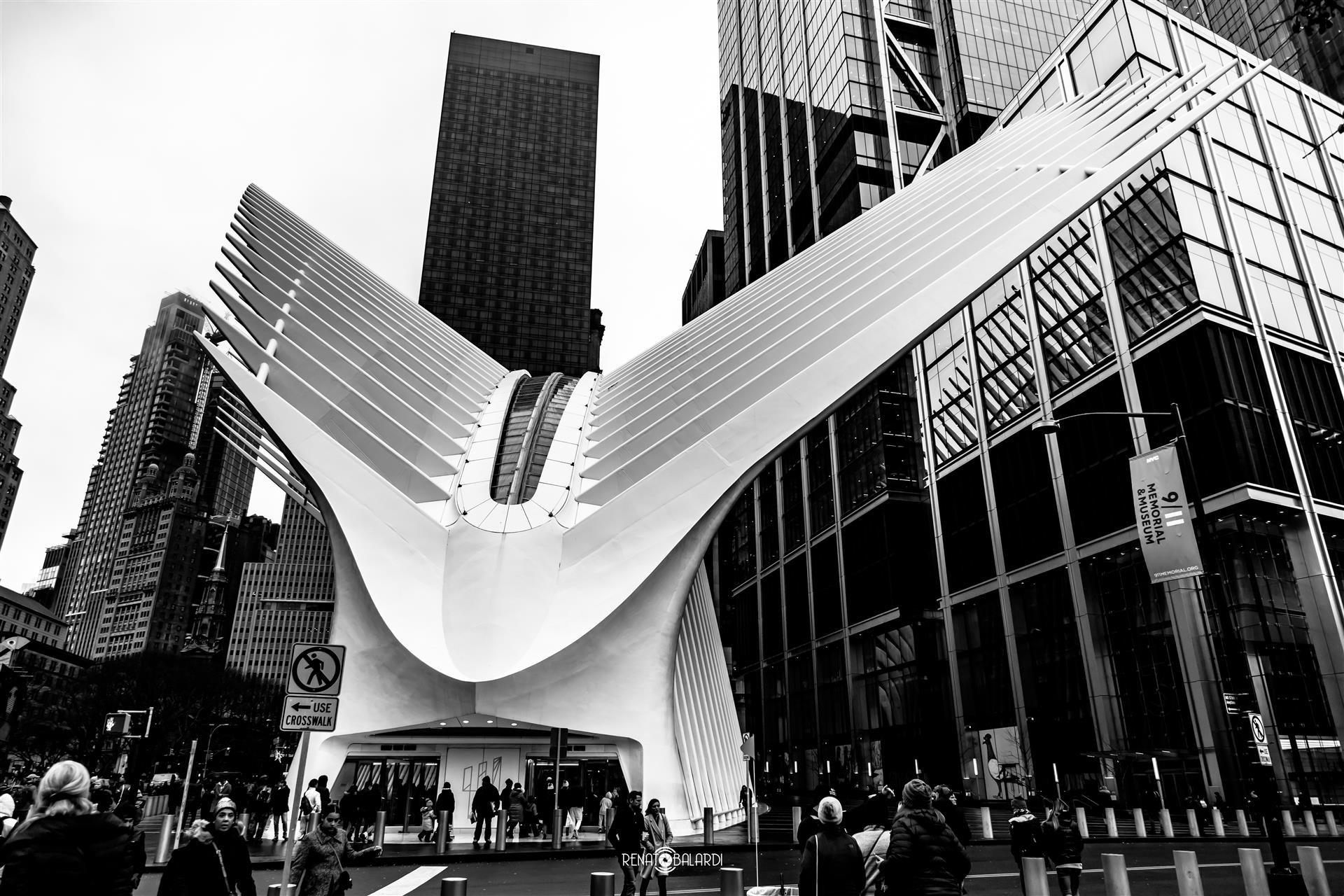 Oculus transportation hub