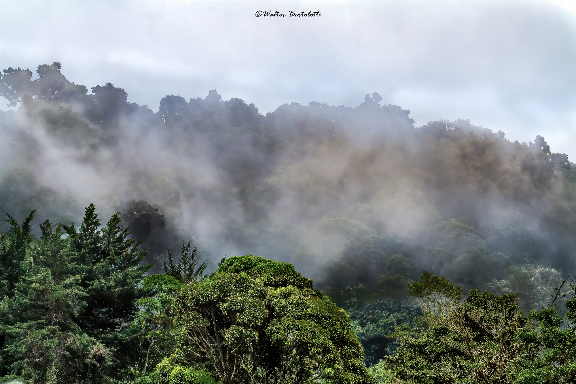 the rainforest, Costa Rica