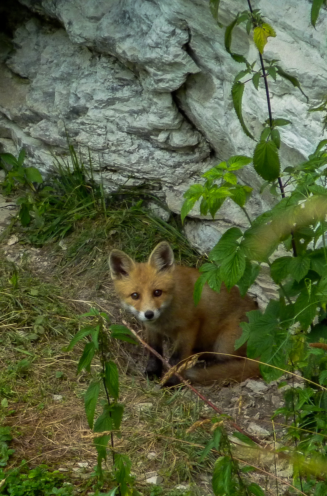 Sulla soglia di casa
