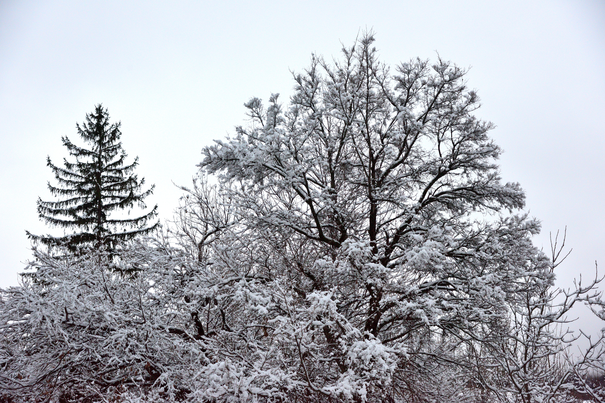 Inverno in Abruzzo - montagna