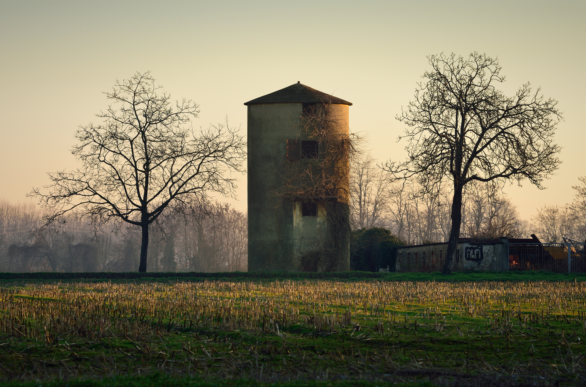 The good giant and his two faithful guardians.
