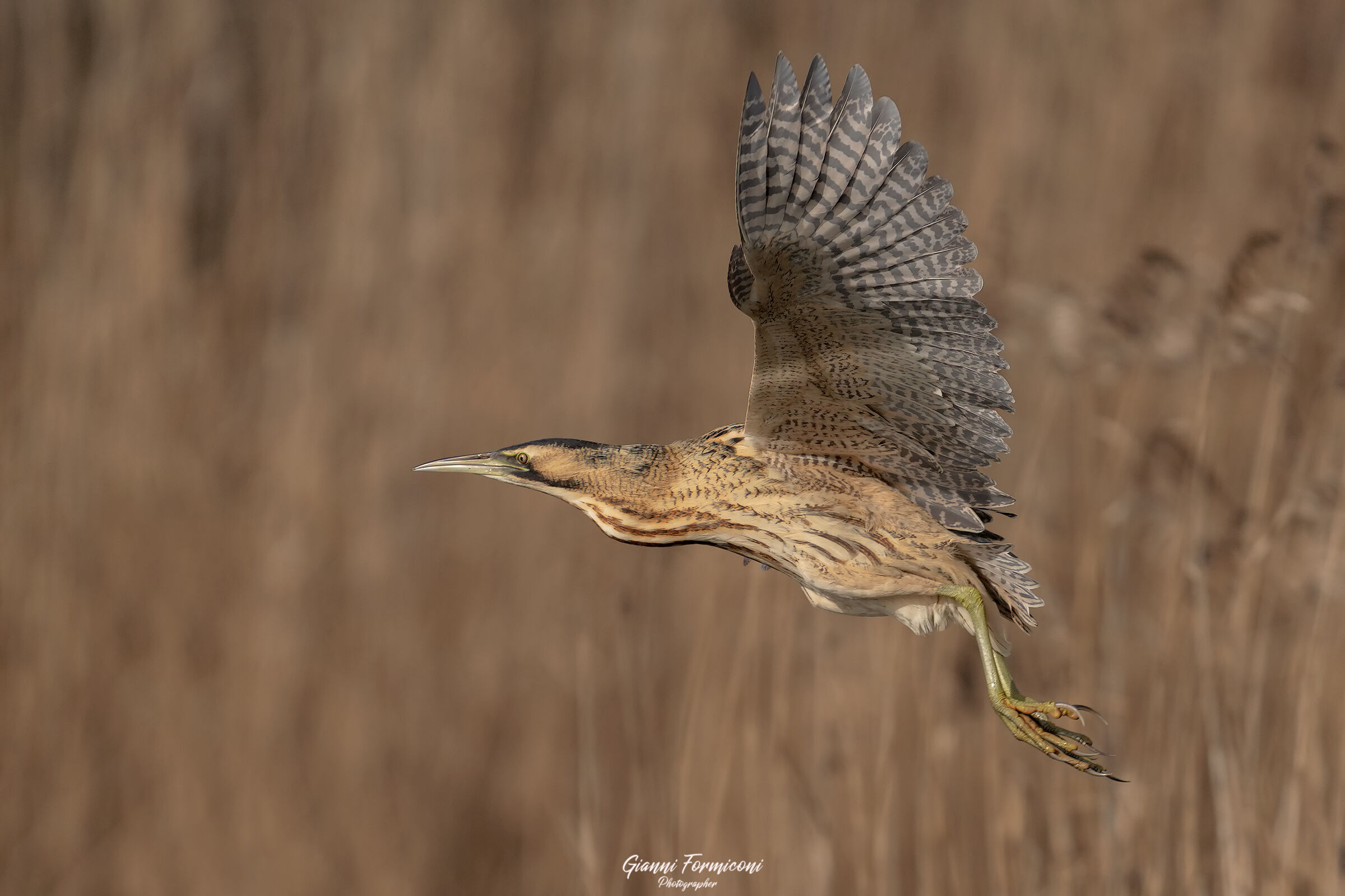 Tar abuse in flight.