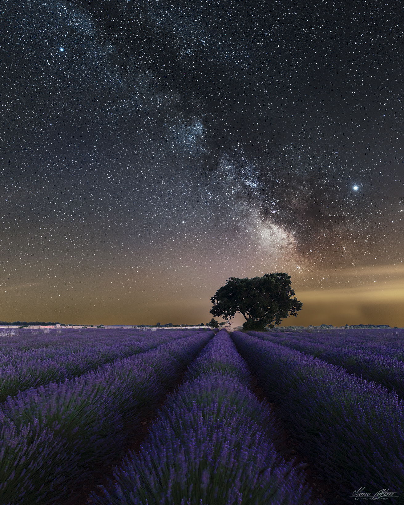 Milky Way fields Lavender in Valensole