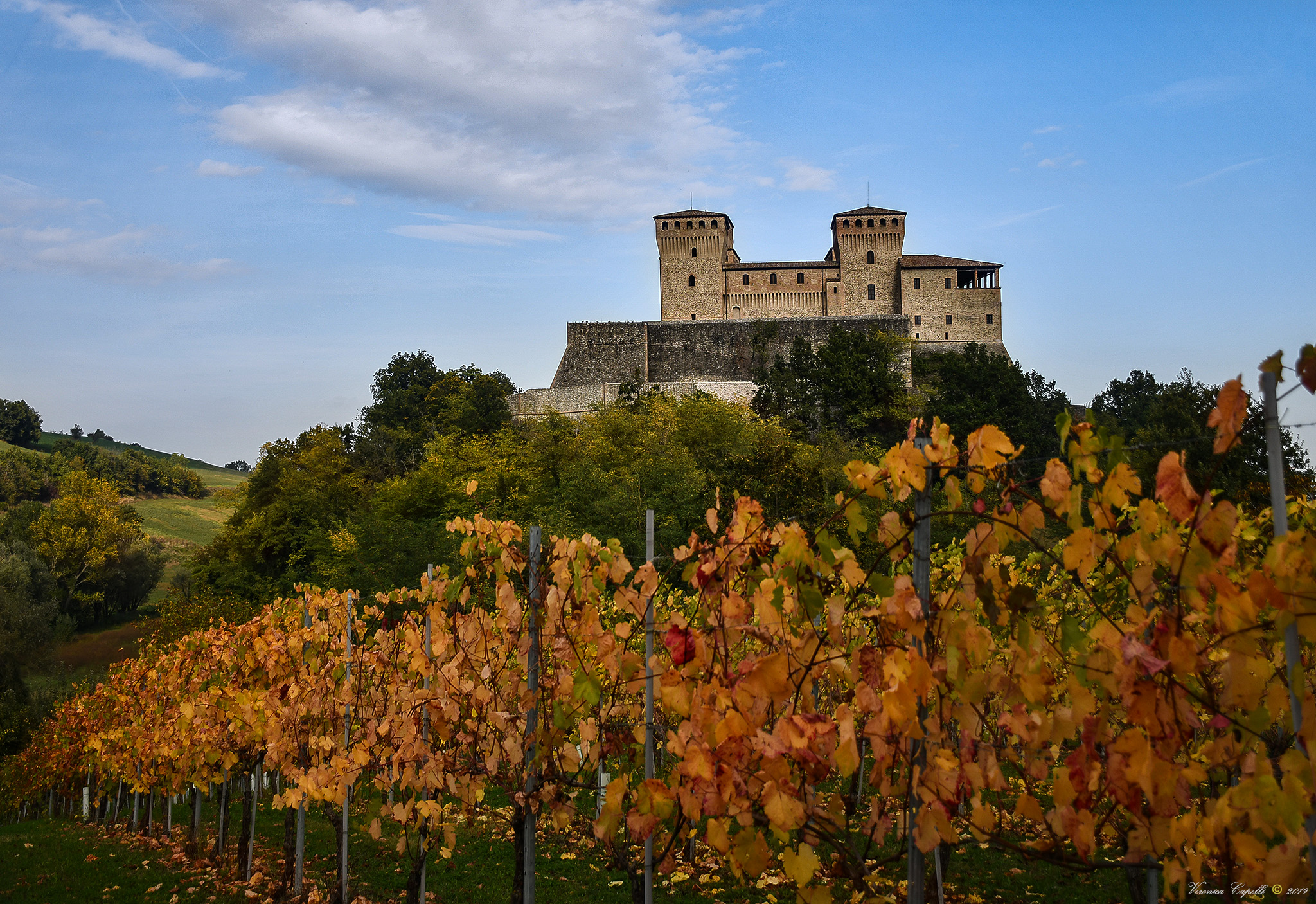 Autumn among the rows