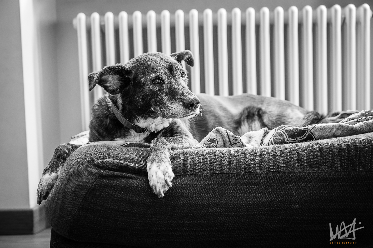 even though old and clumsy, the little girl at home