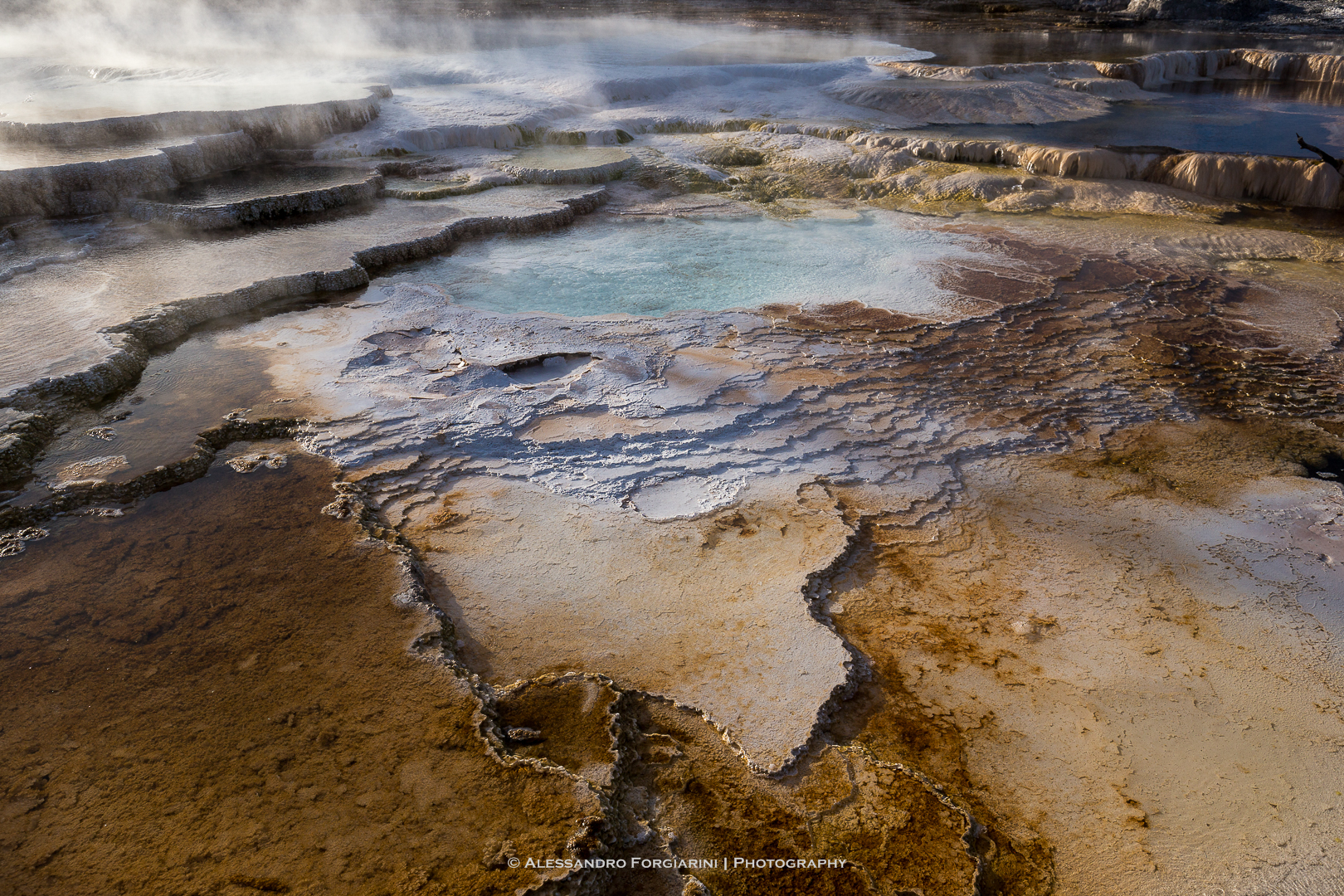 Mammoth Hot Springs