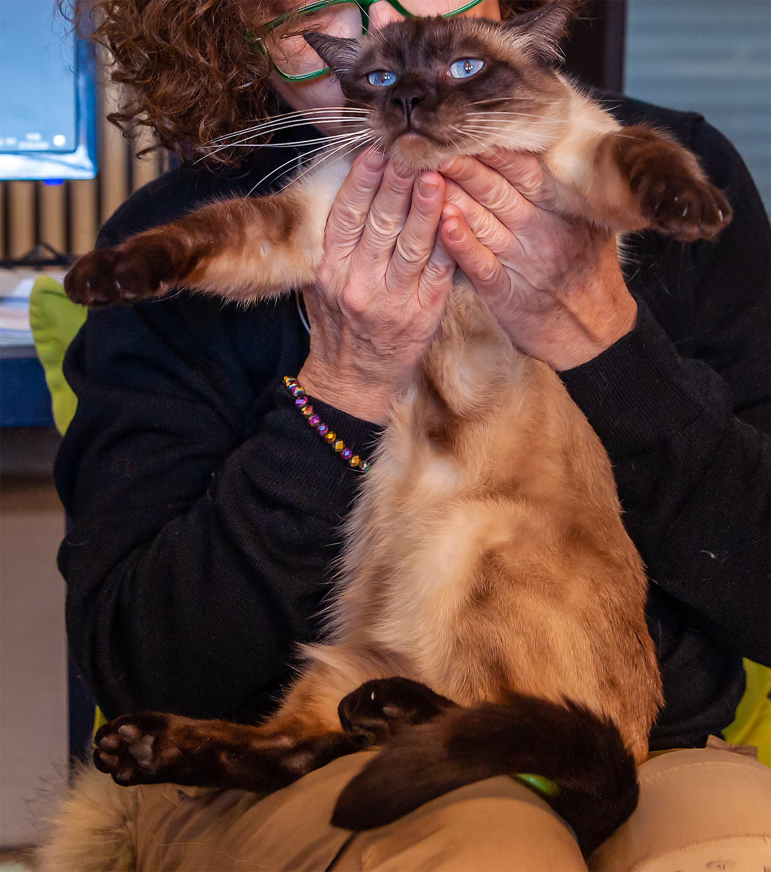 Arturo: "Basta con ste foto, aiutatemi a scappare!&quot...