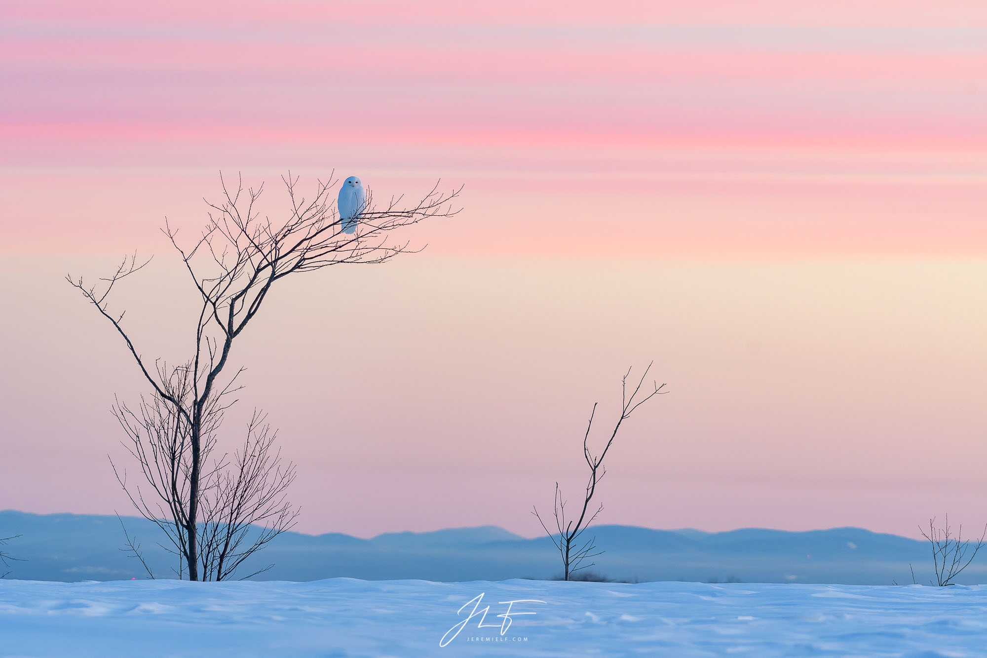 Pink sky