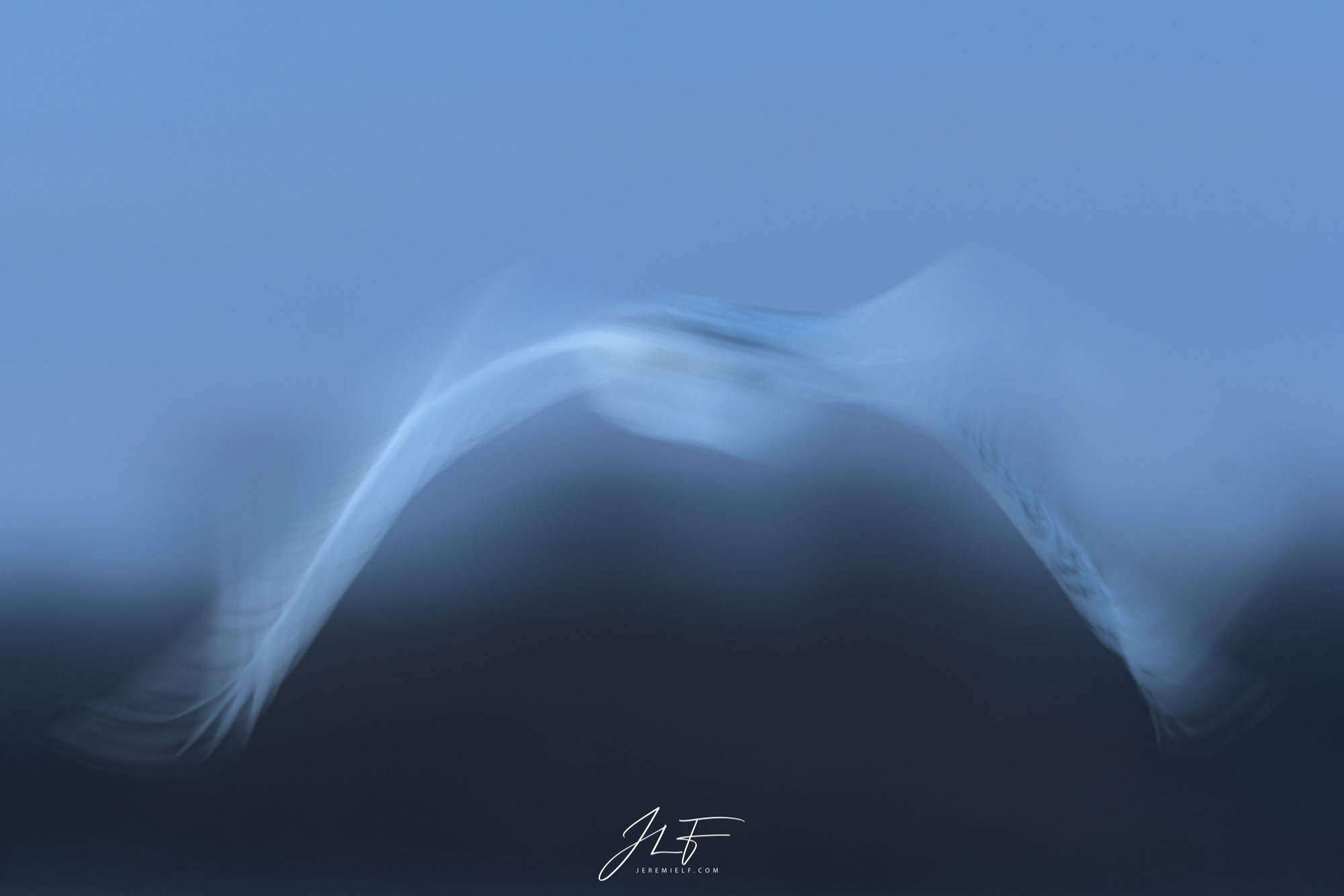 Motion