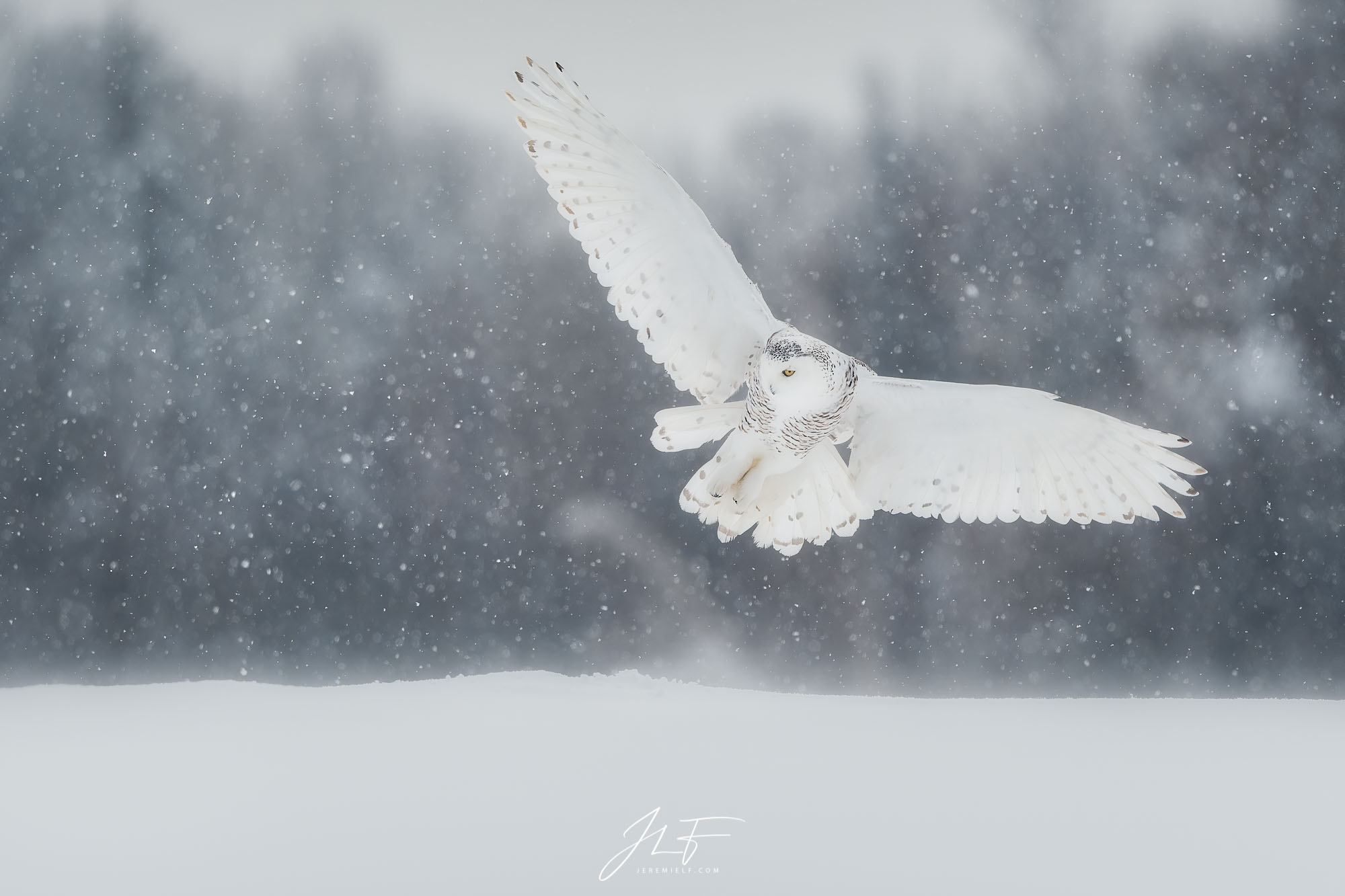 Landing