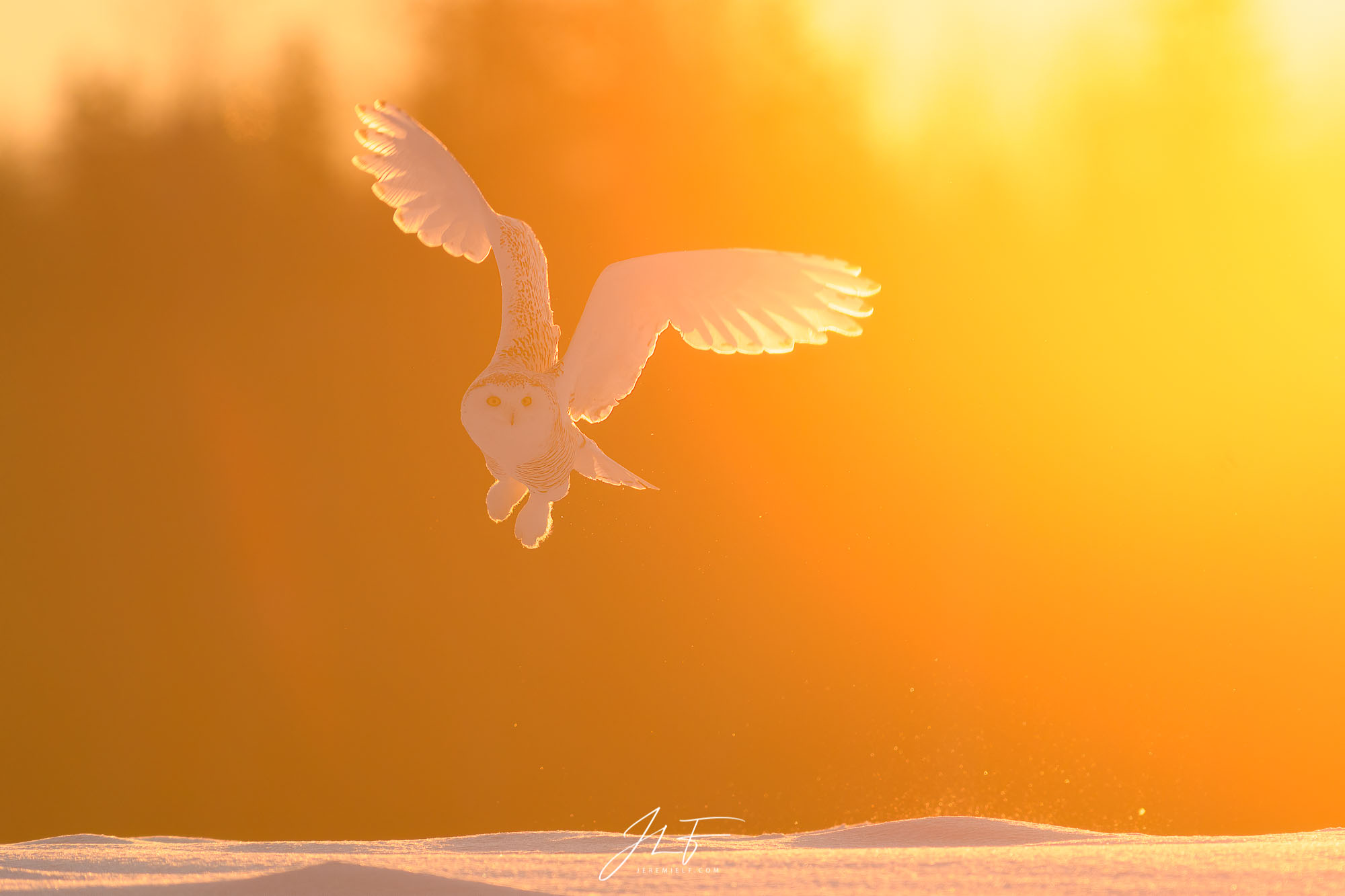 Warm colors sunrise