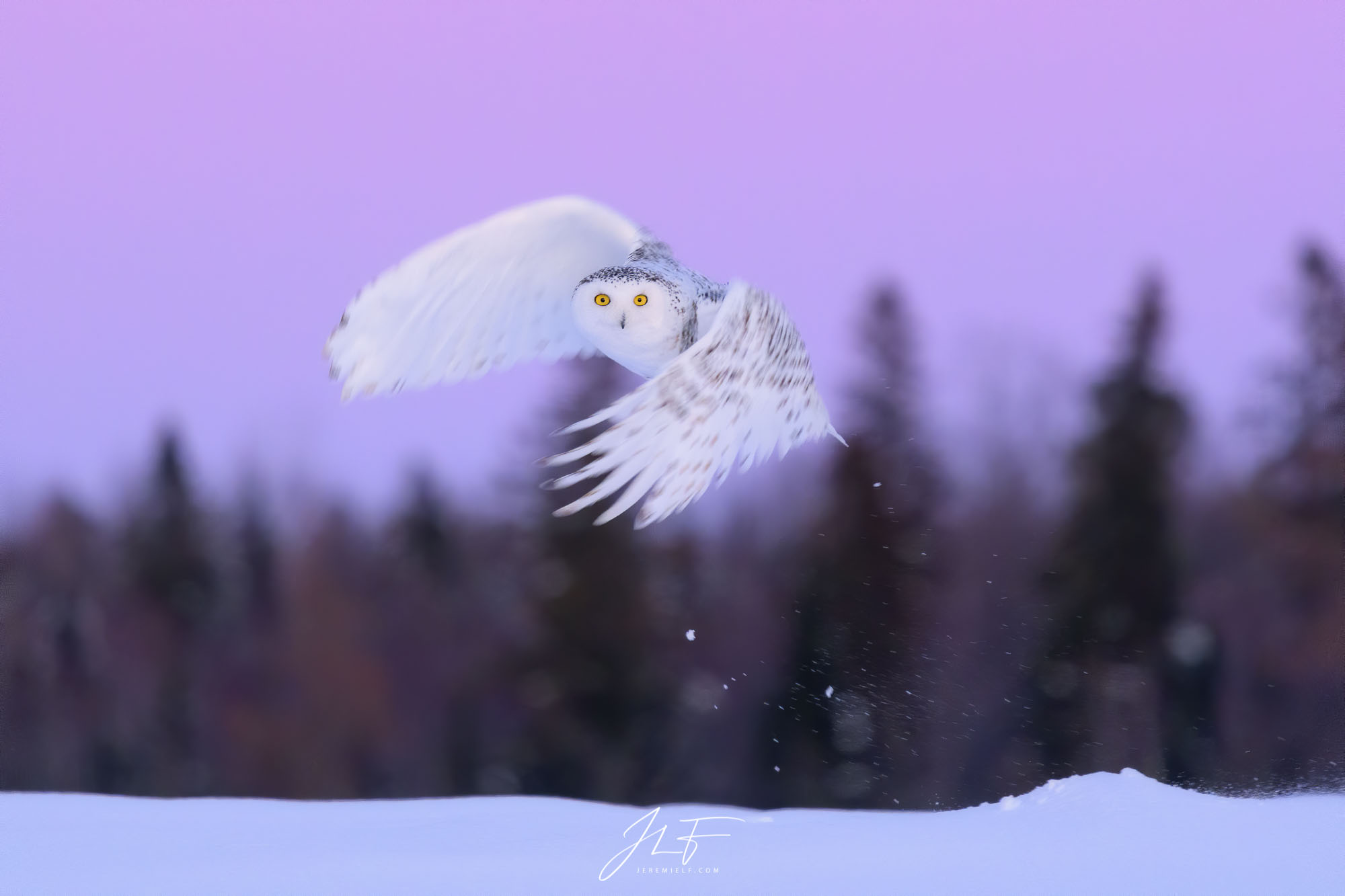 At dawn