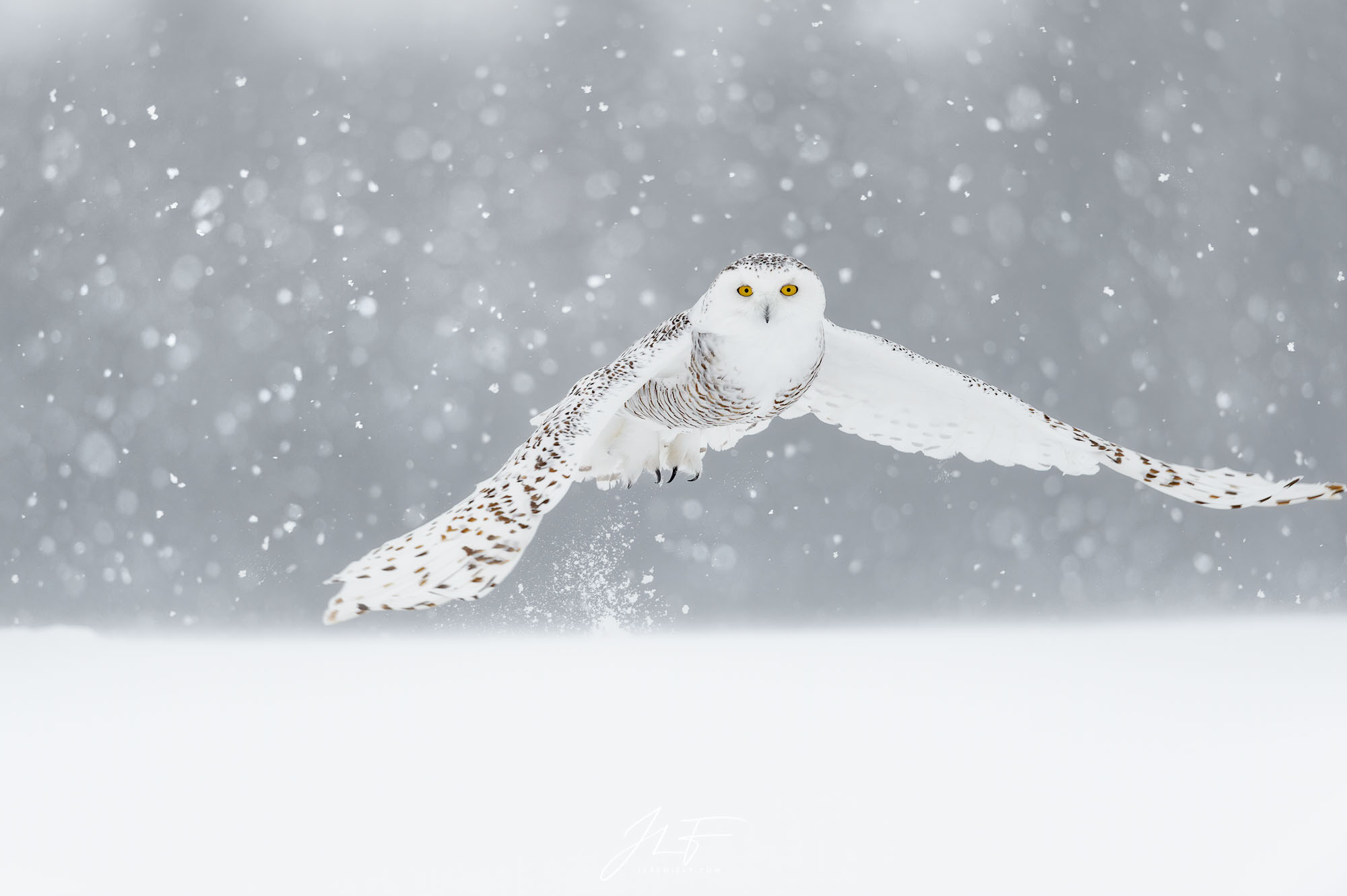 In the storm