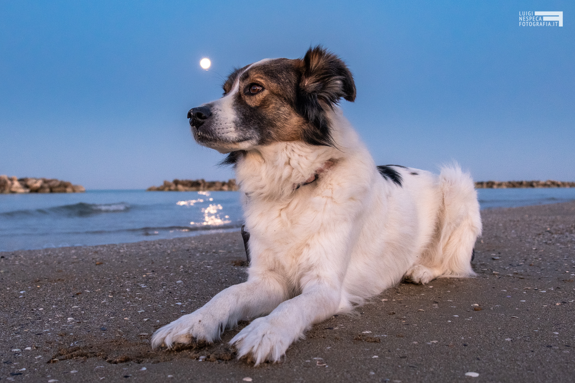Melody e la Luna - Francavilla al Mare