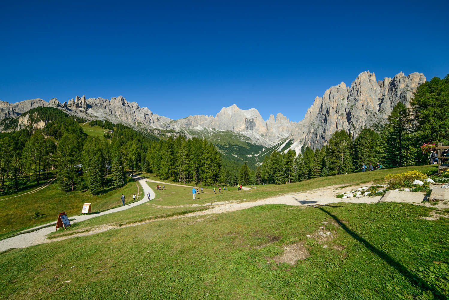 Panorama dal Ciampedie