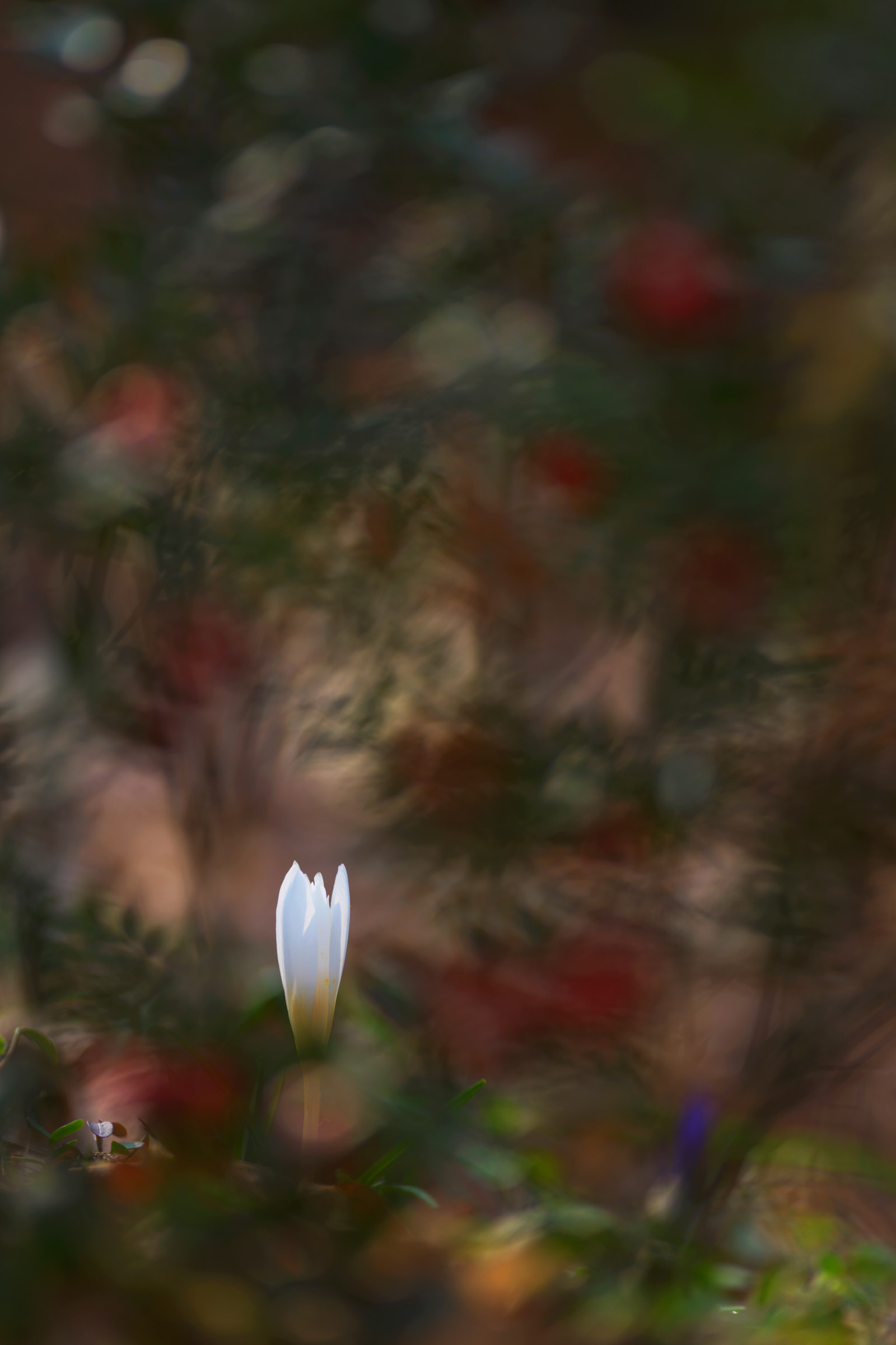 Brilliant colors inside...