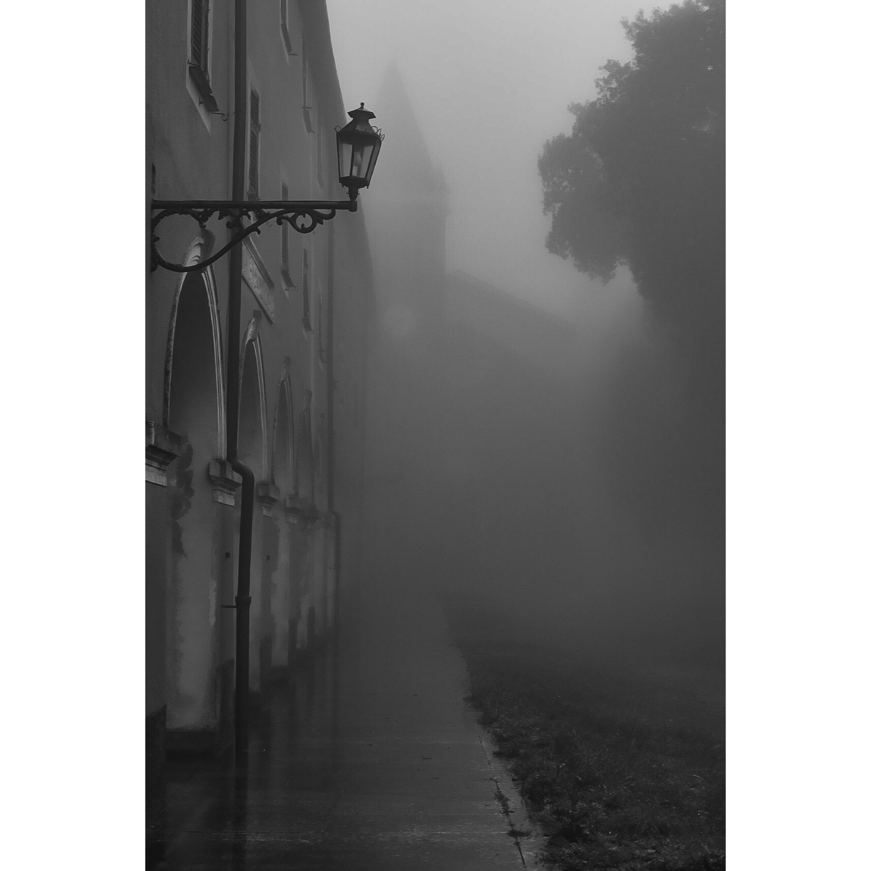 Views in Black and White 1