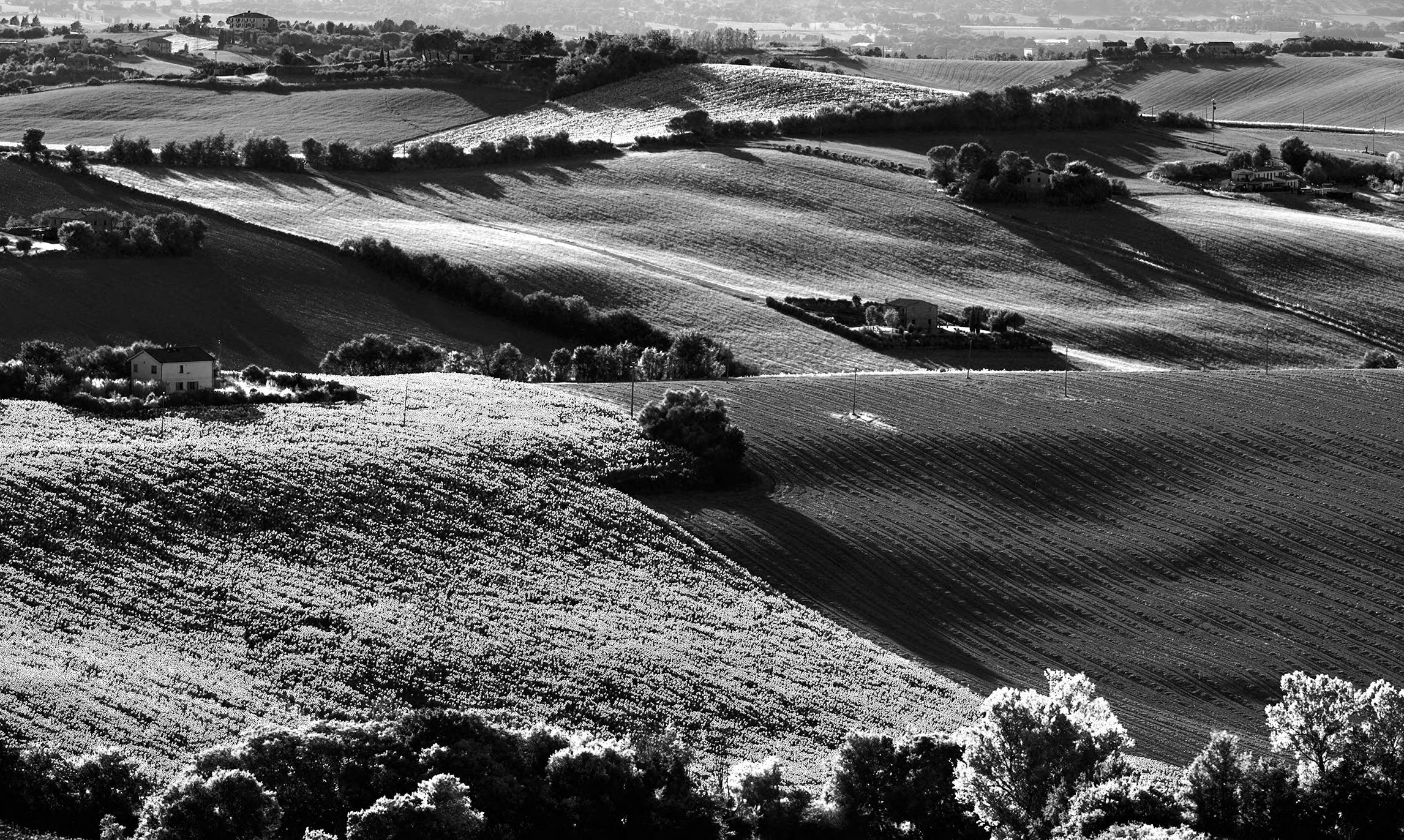 Summer on the Marche countryside