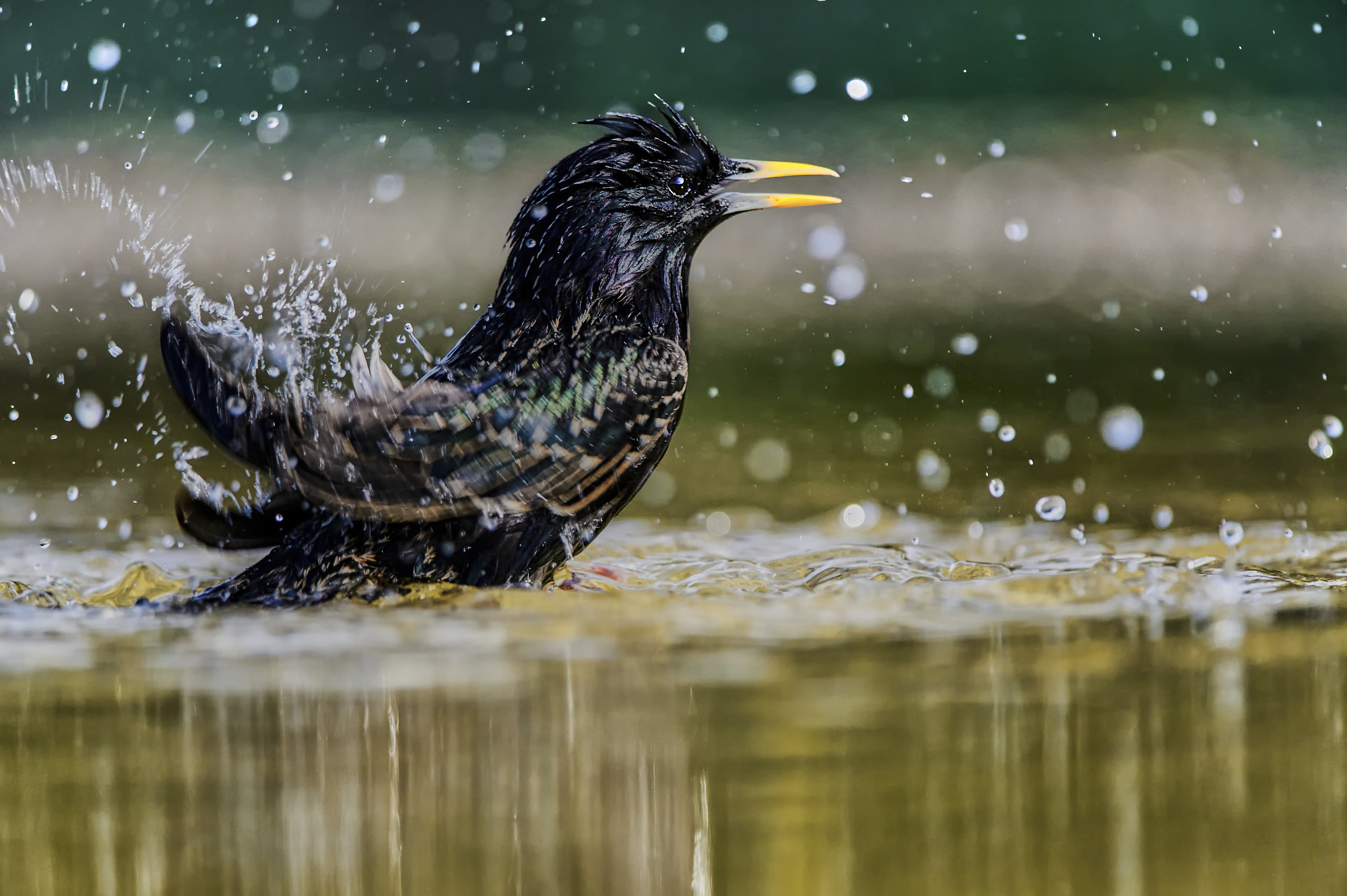 I'm going to the bathroom