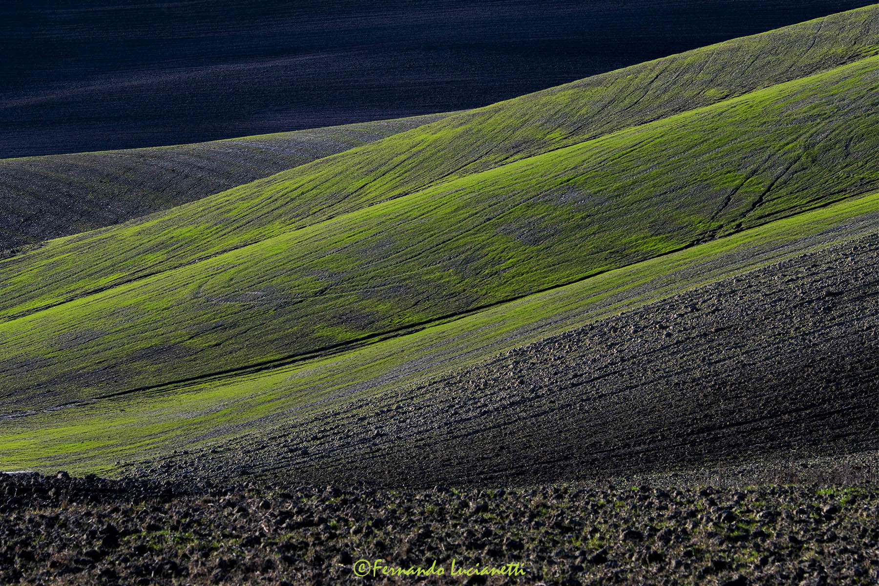 Scent of earth