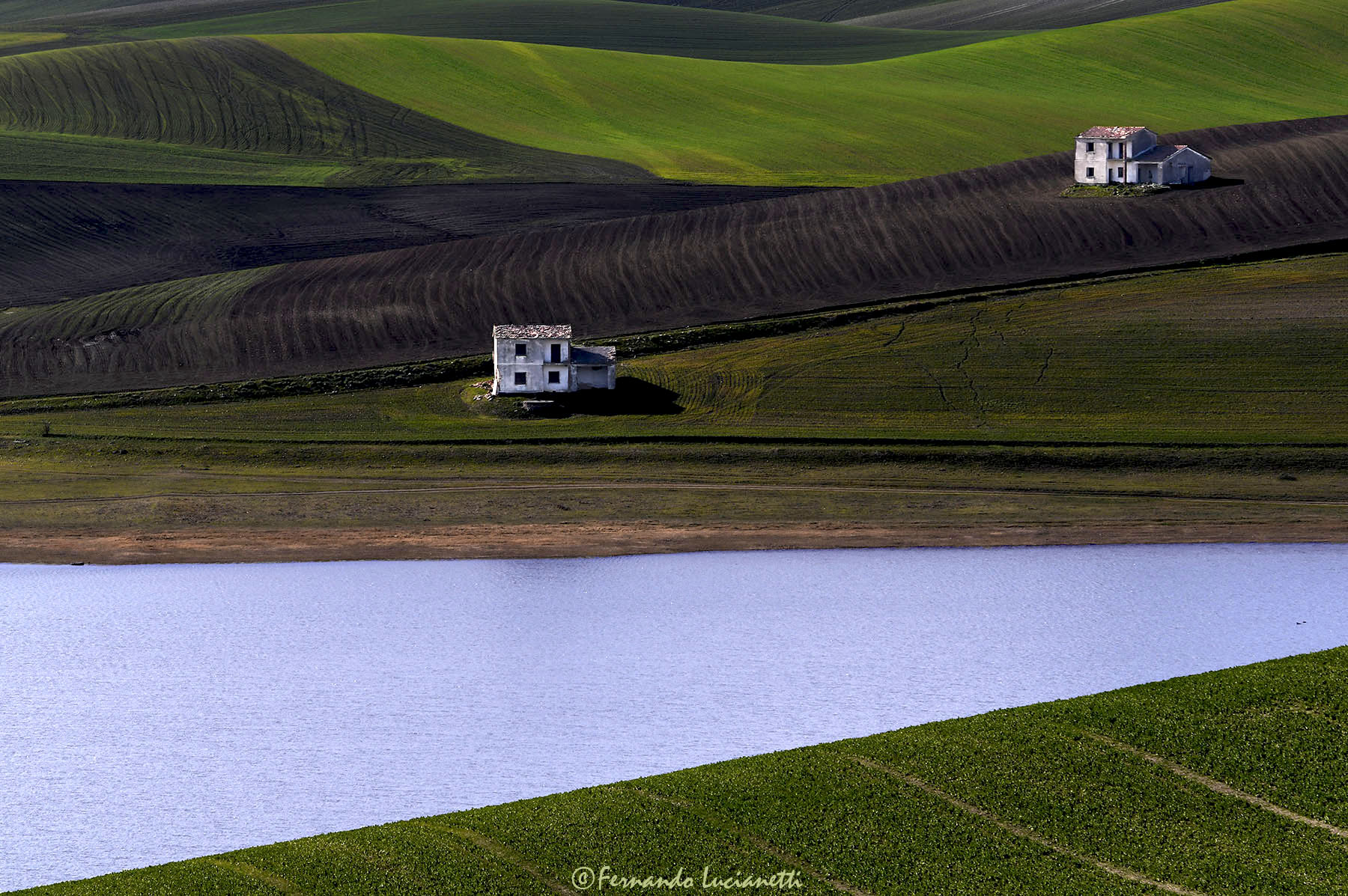 Houses on the lake