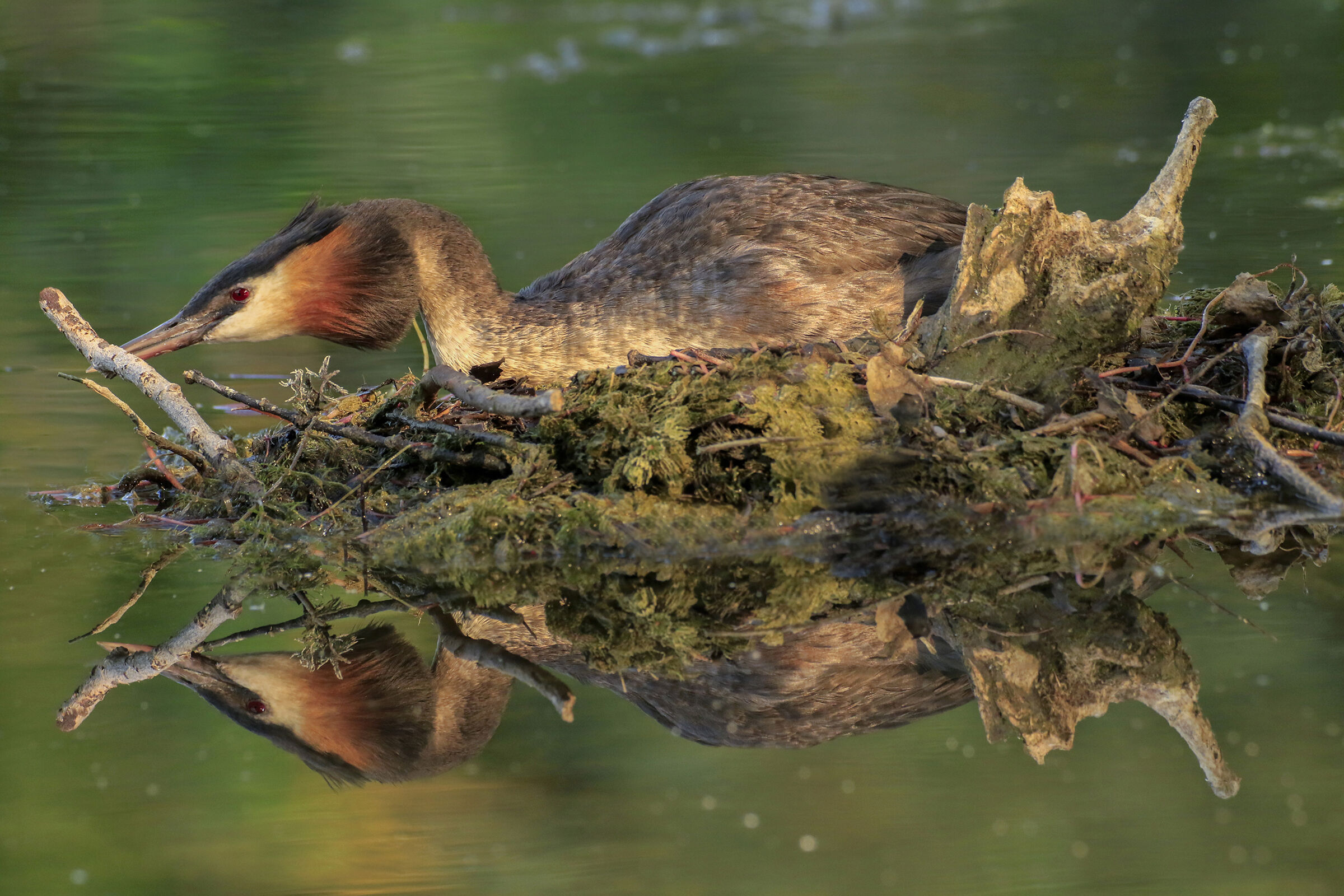 the reflection of the vaping