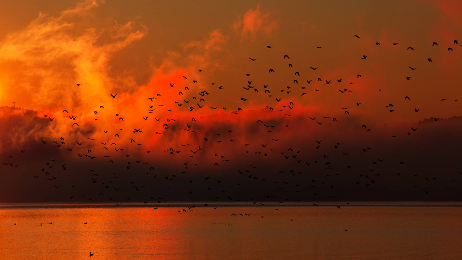 In volo sul Trasimeno
