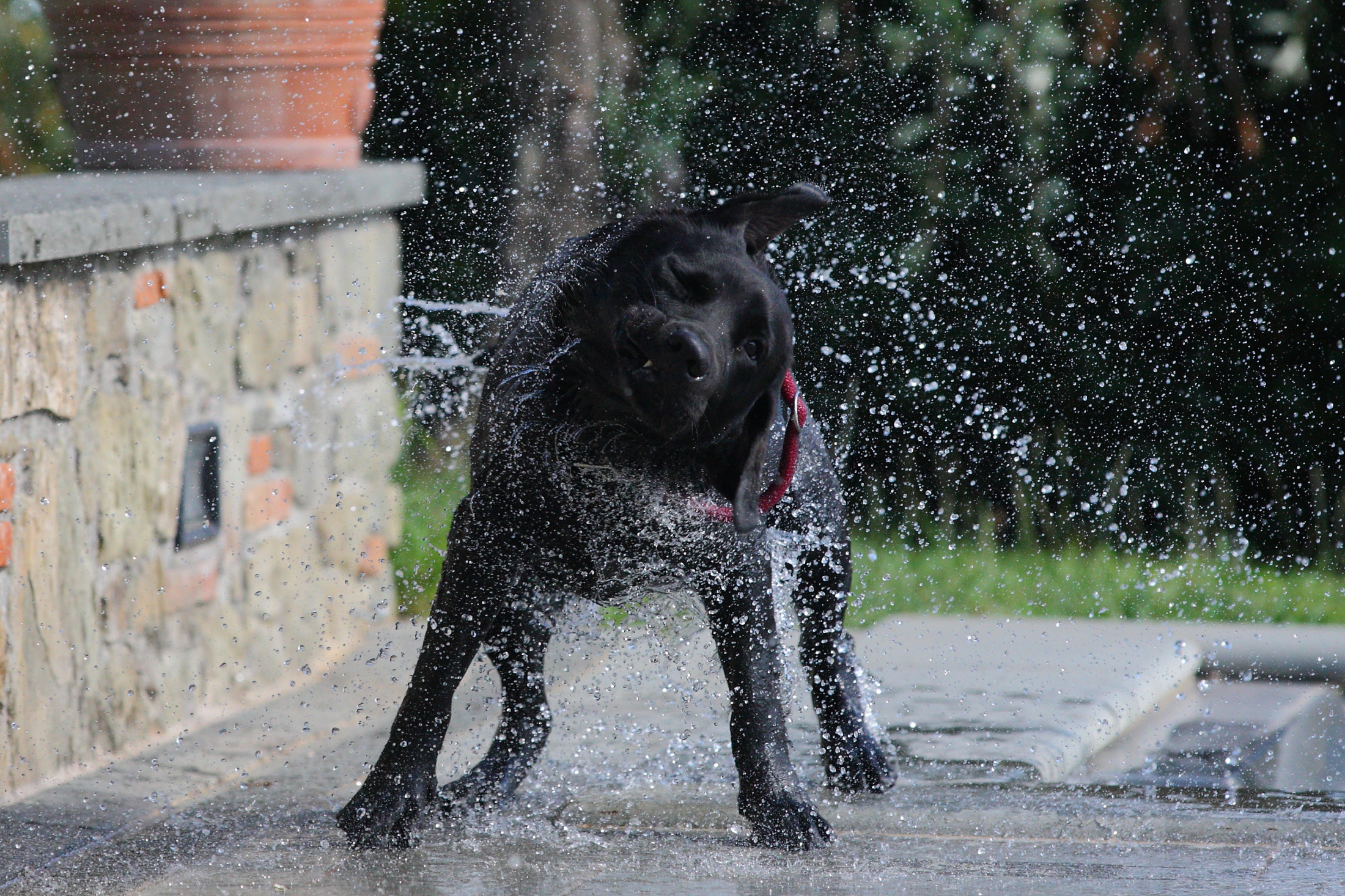 after the bath