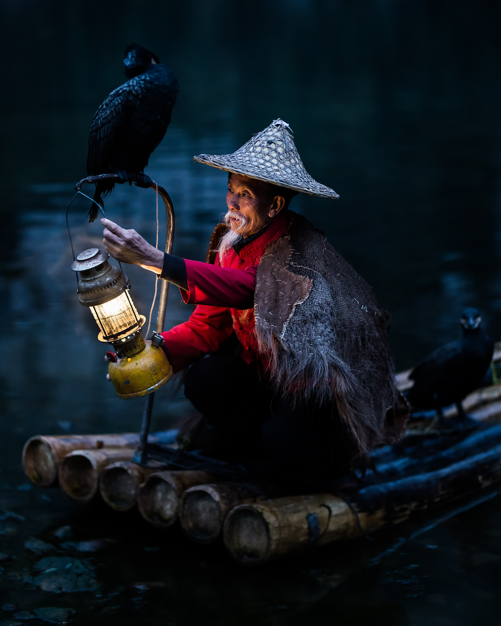 Portrait of fisherman with cormorants.