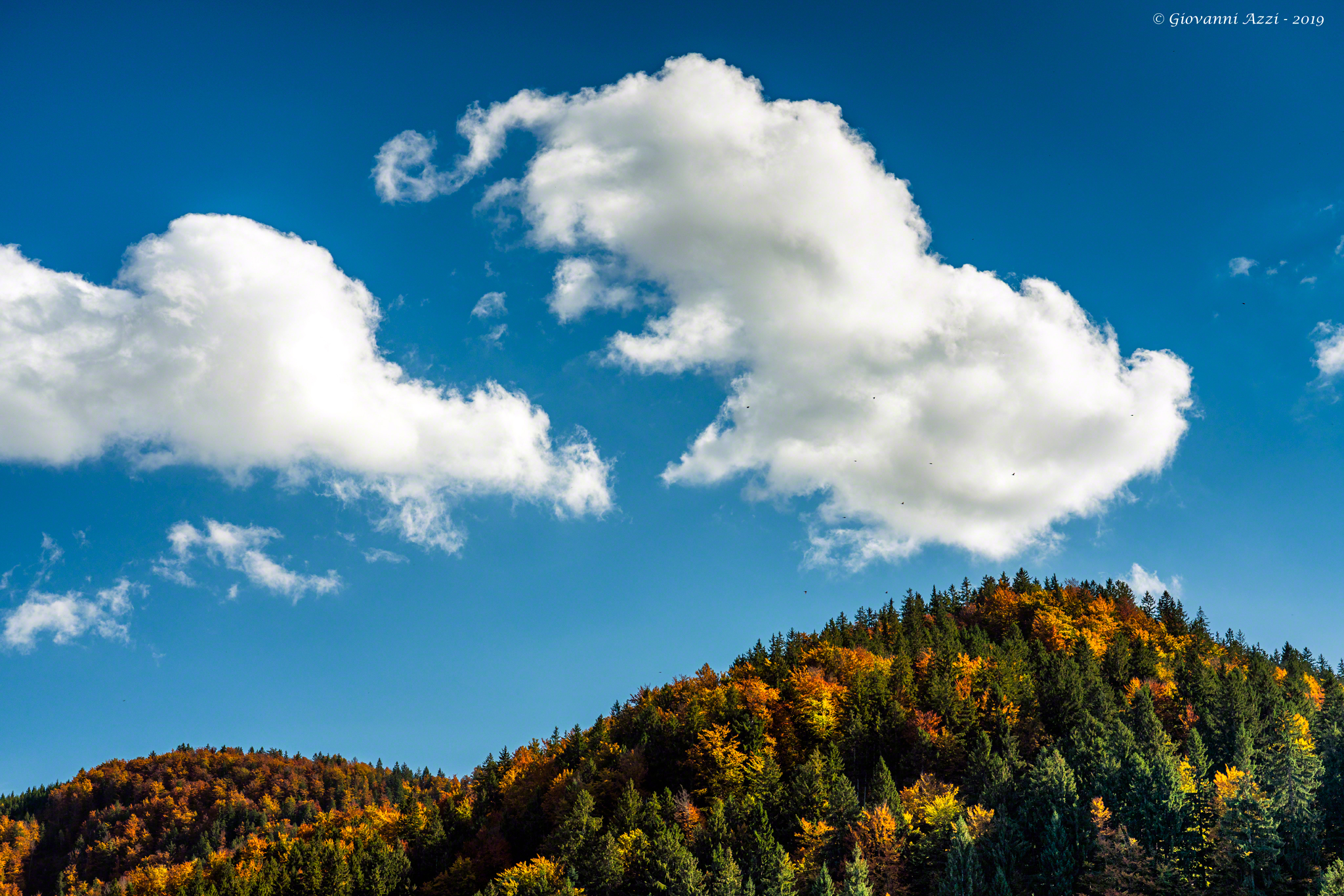 Consistenze autunnali