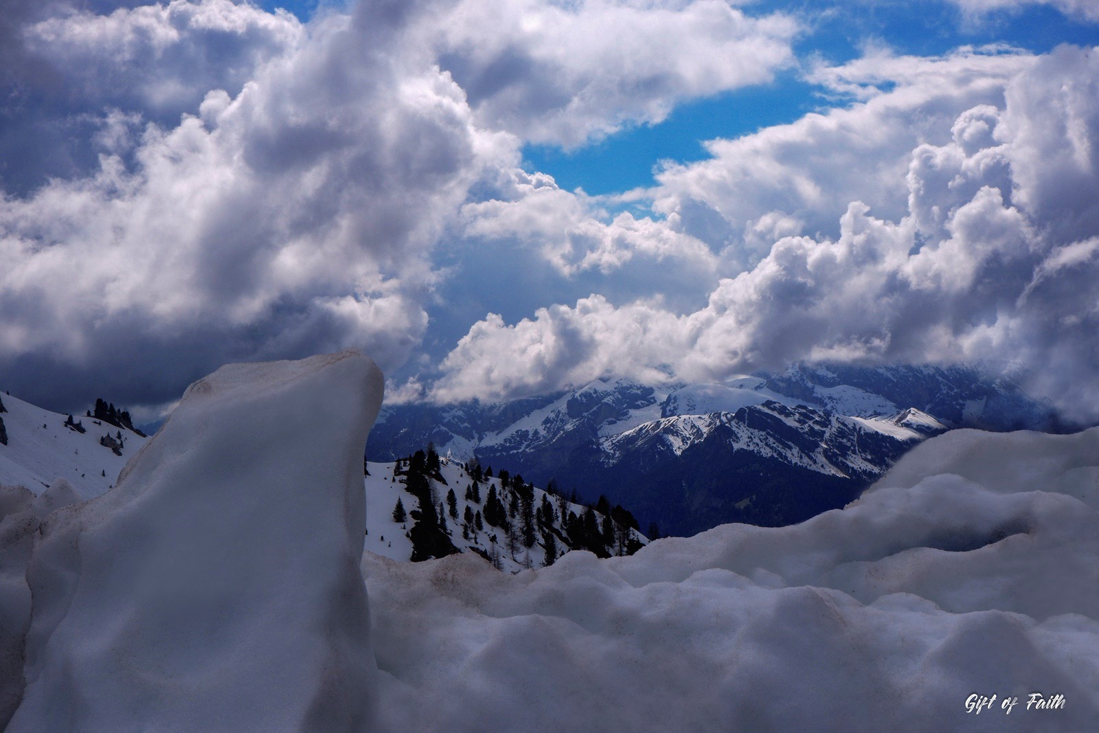 The Frog Looking At the Clouds