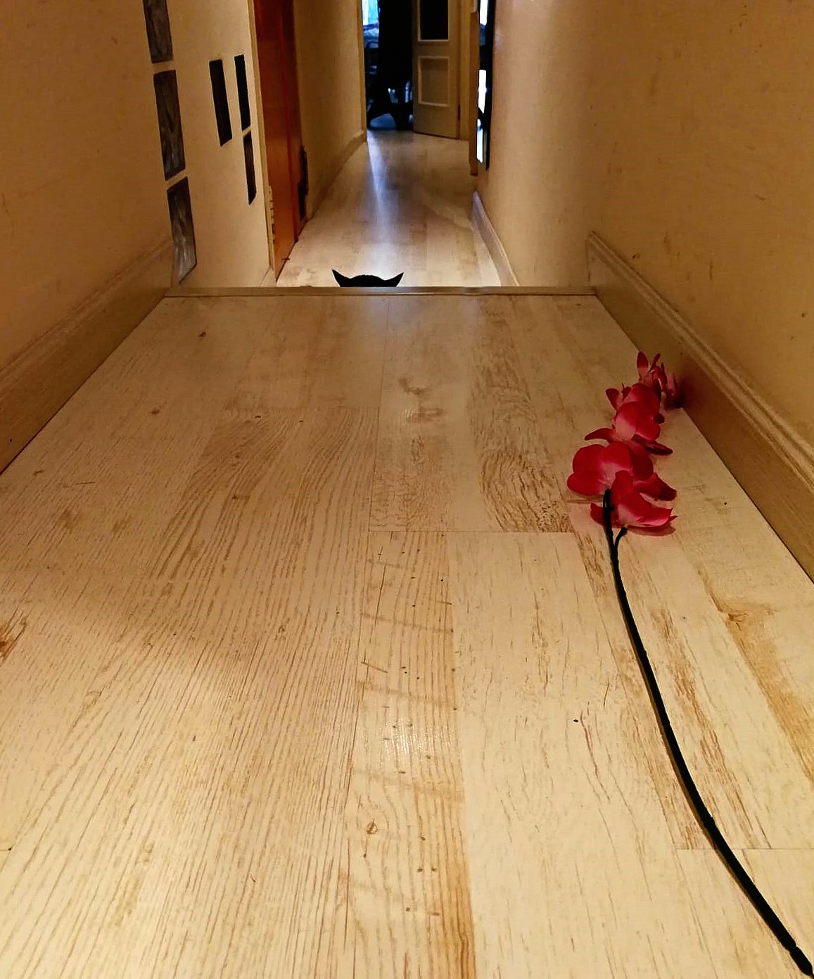 Strategie per l'attacco.