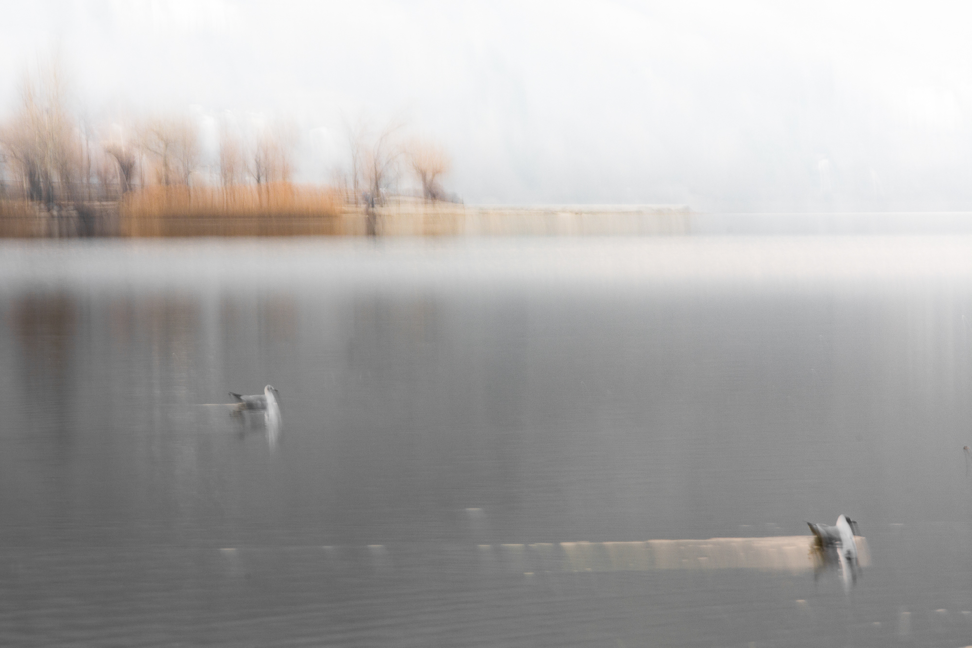 Respiro mentale