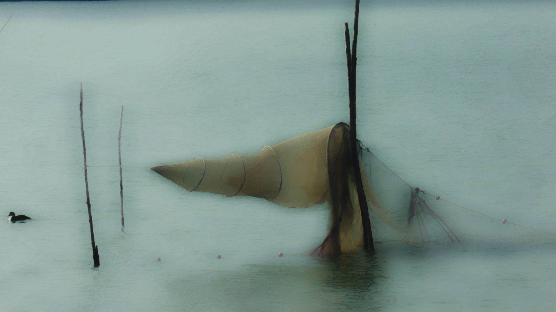 fishing in the nets lake