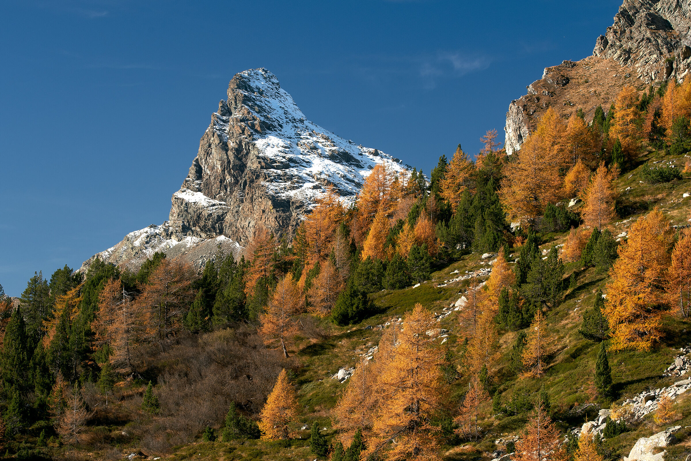 When there were colors!