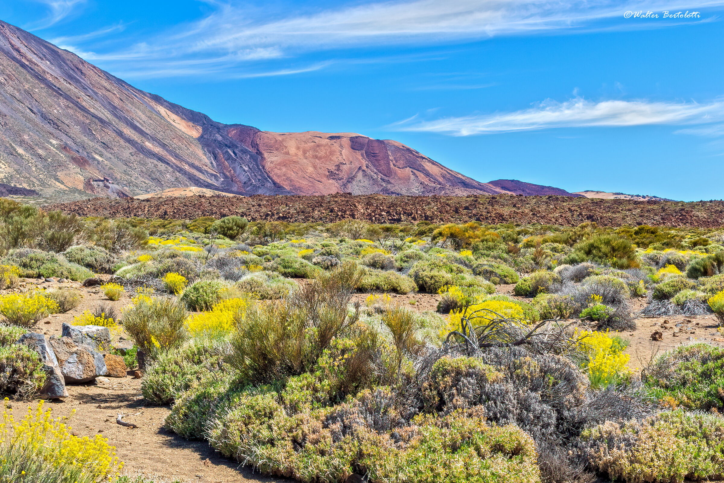 Altopiano del Teide - 2200 mt