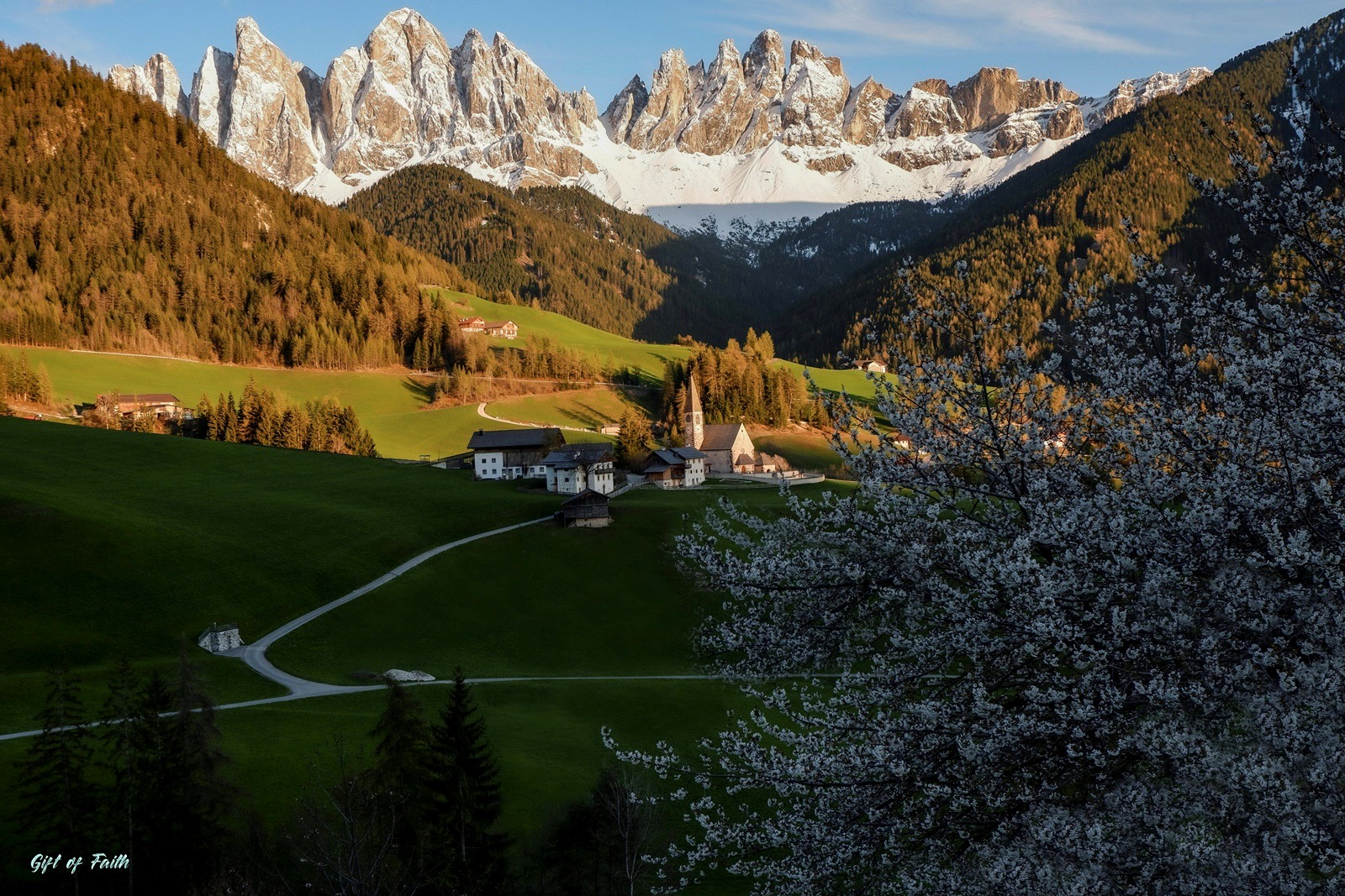 Aspettando la primavera...