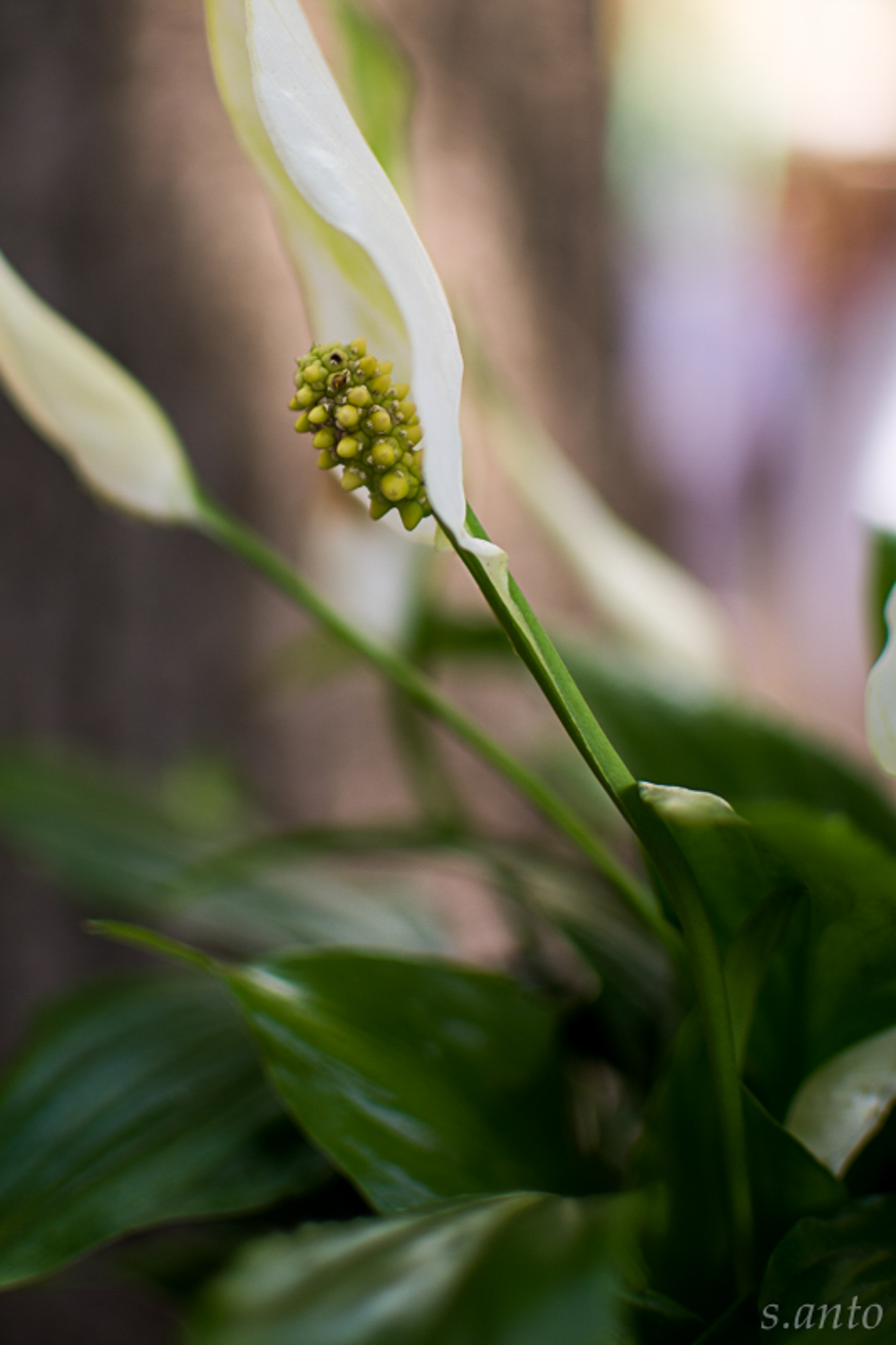 Untitled Photo
