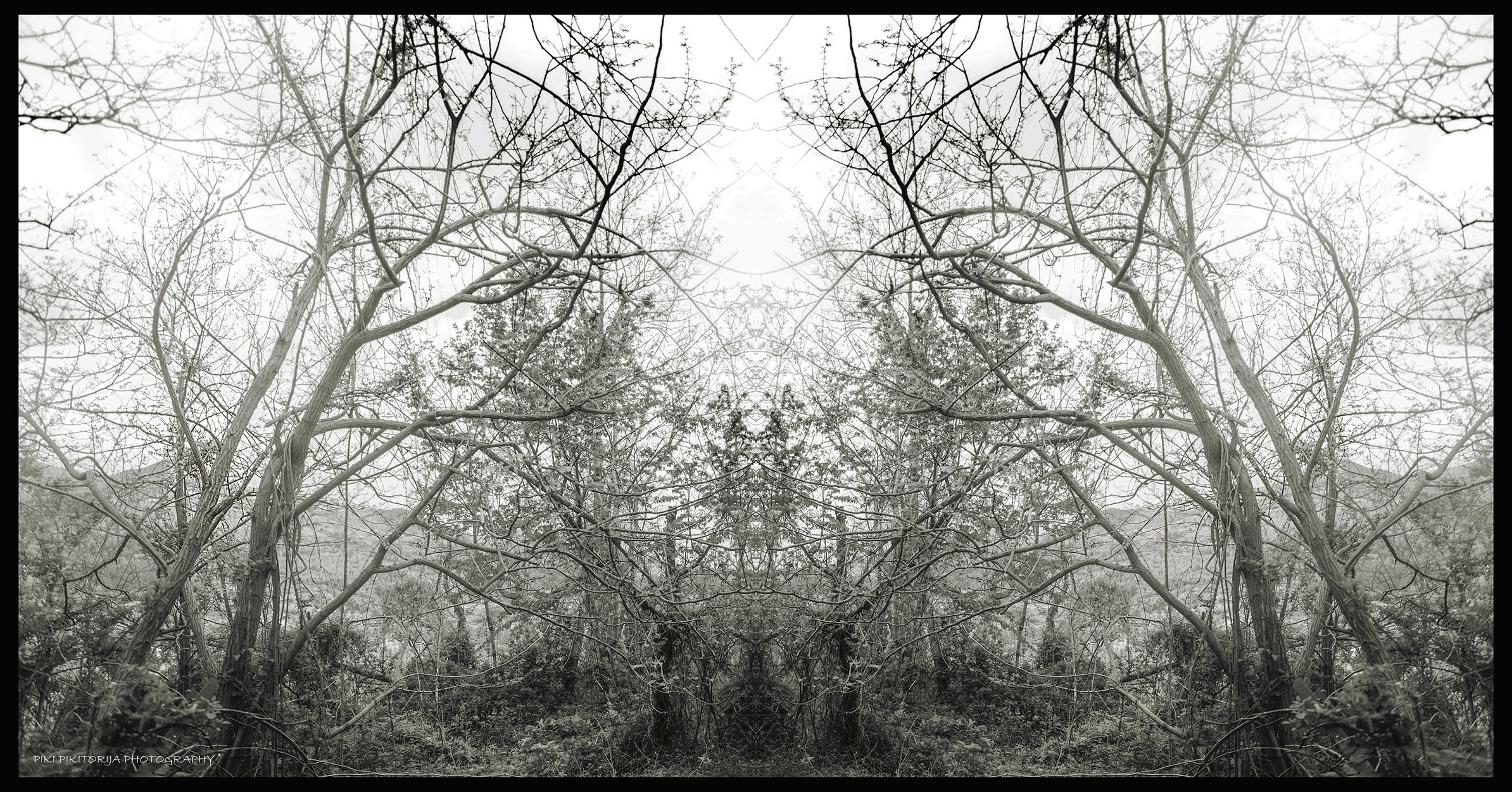 Mystery in the mountains