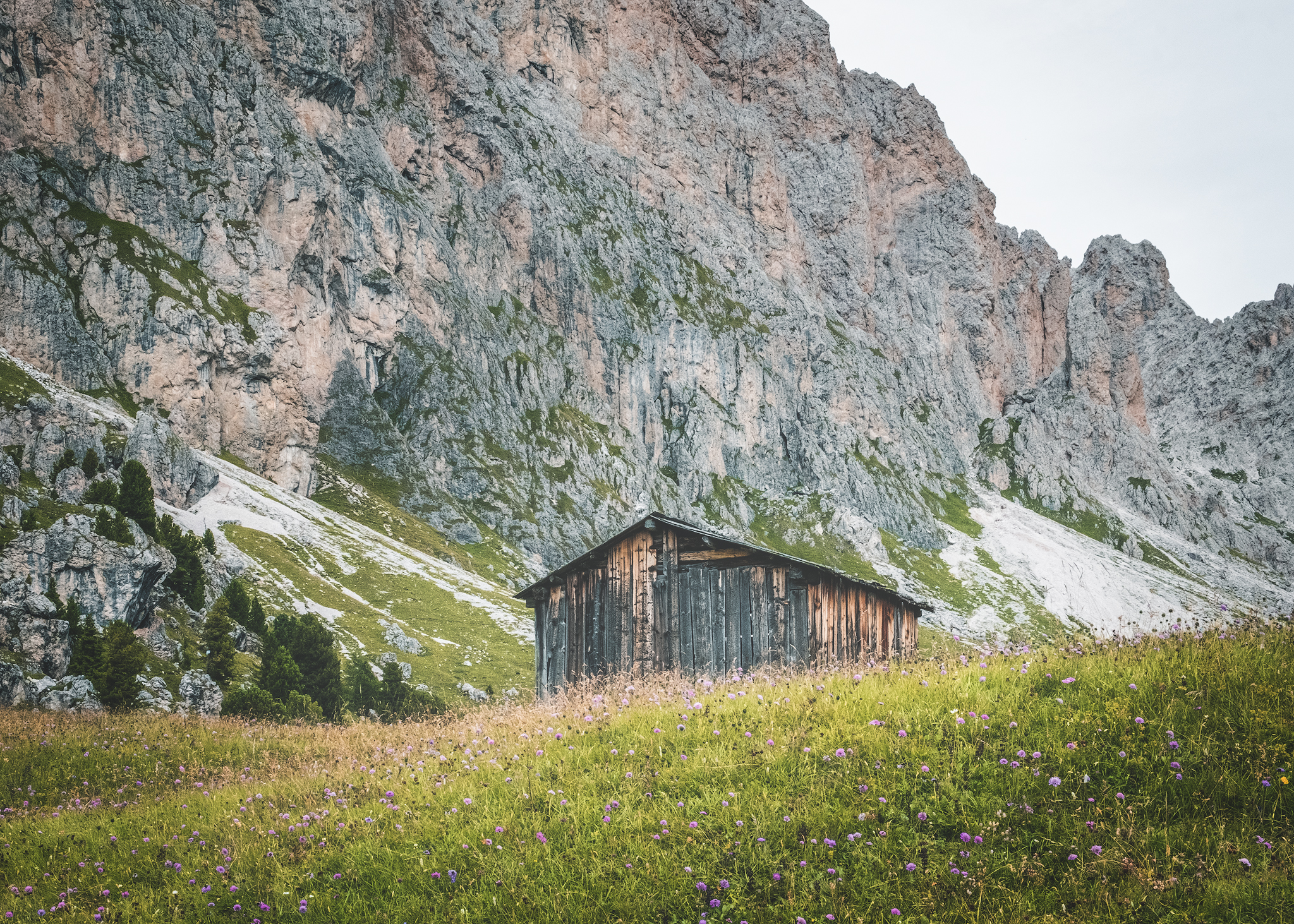 South Tyrol #2