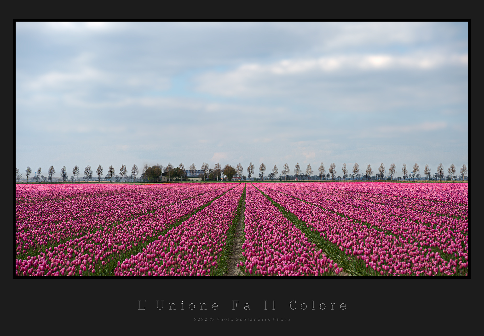 The Union Makes The Color